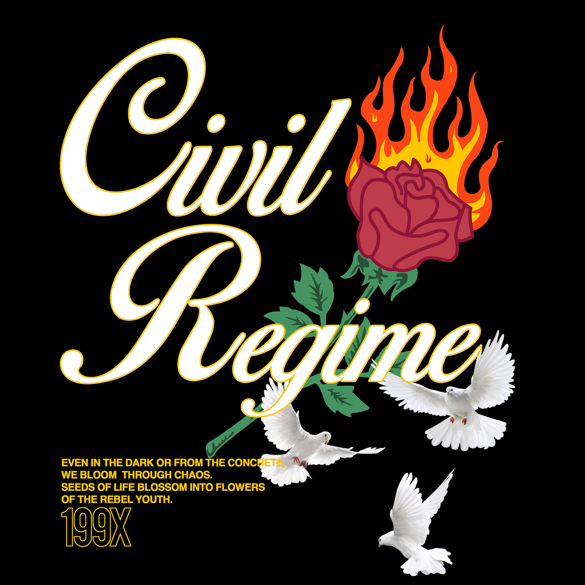 Jalal Beidoun - Civil Regime Graphics