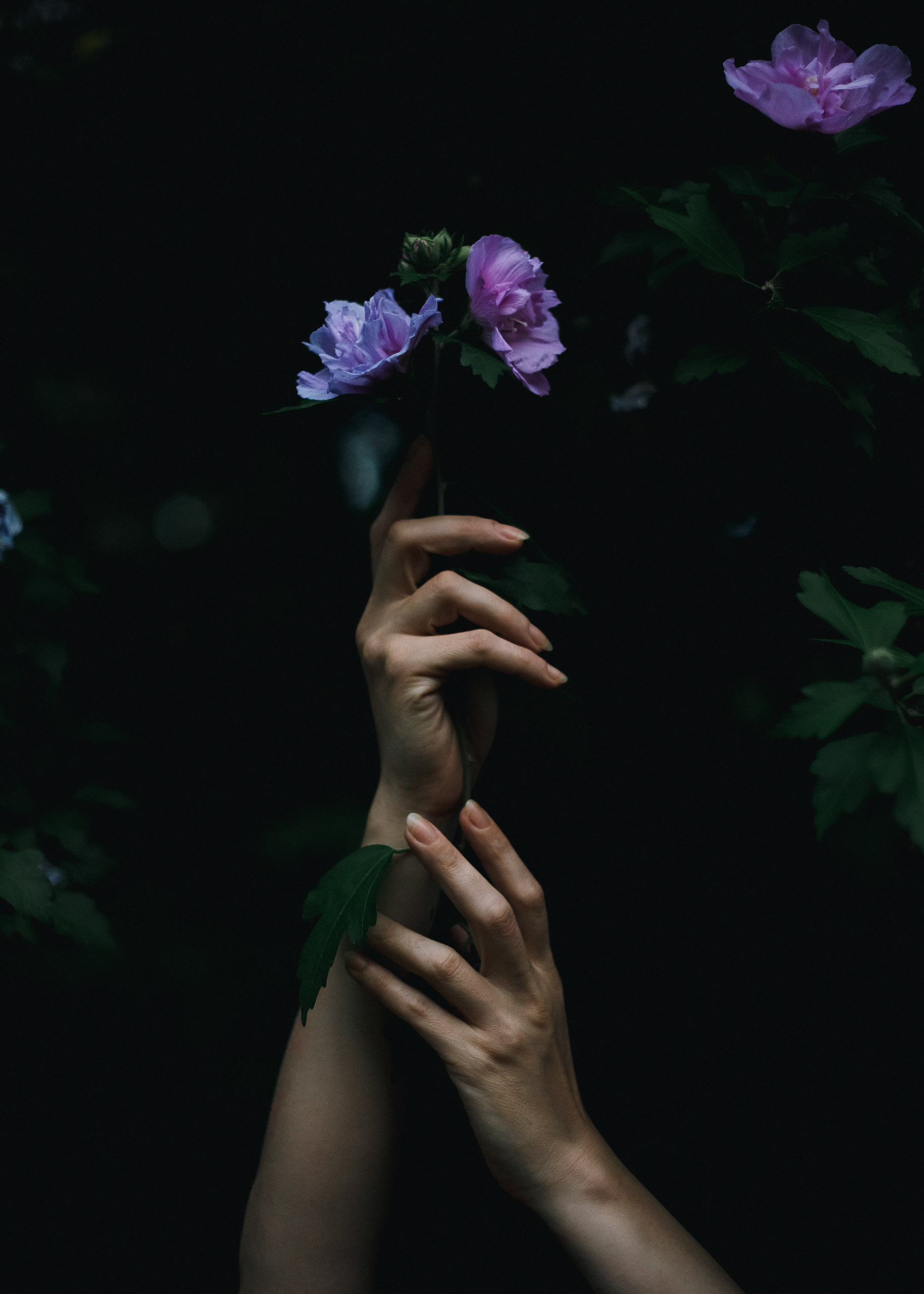 Longing