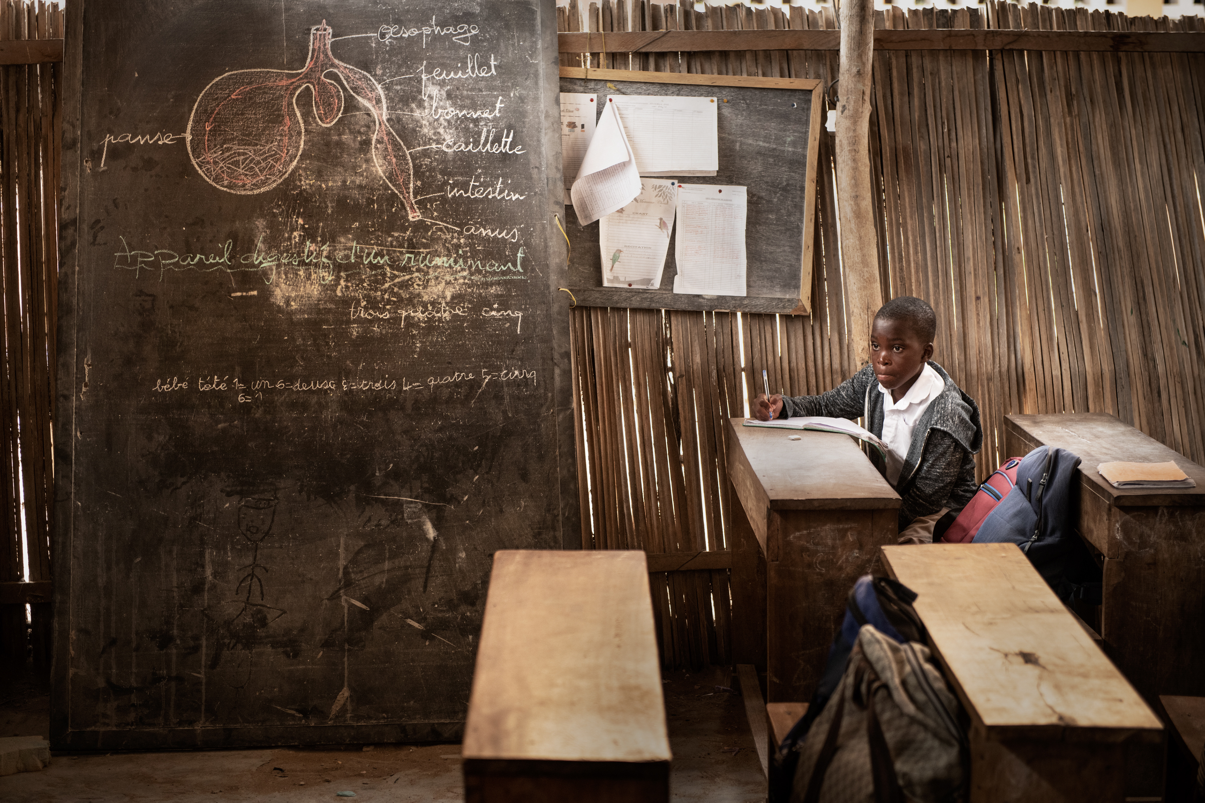 Biology lesson in a temporary makeshift classroom at a school in Aneho. Togo 2023