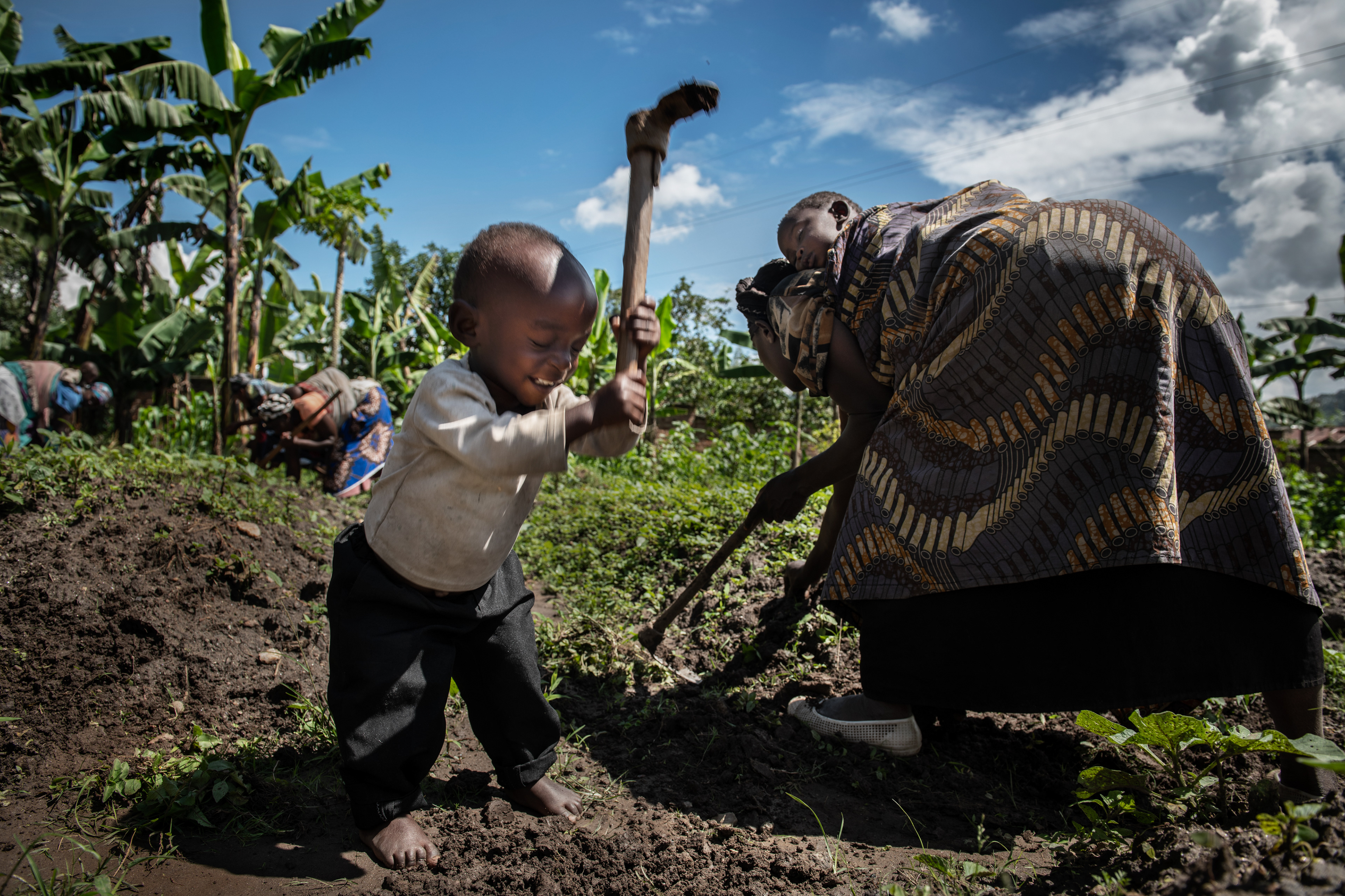 In Rwanda, the youngest children accompany their mothers in all their activities. Until they can walk, even when they work in the fields, they are tied to their mother's back with a scarf. And when they are finally on their feet, they consider working with a hoe to be just fun. Nyakinama, Rwanda 2019