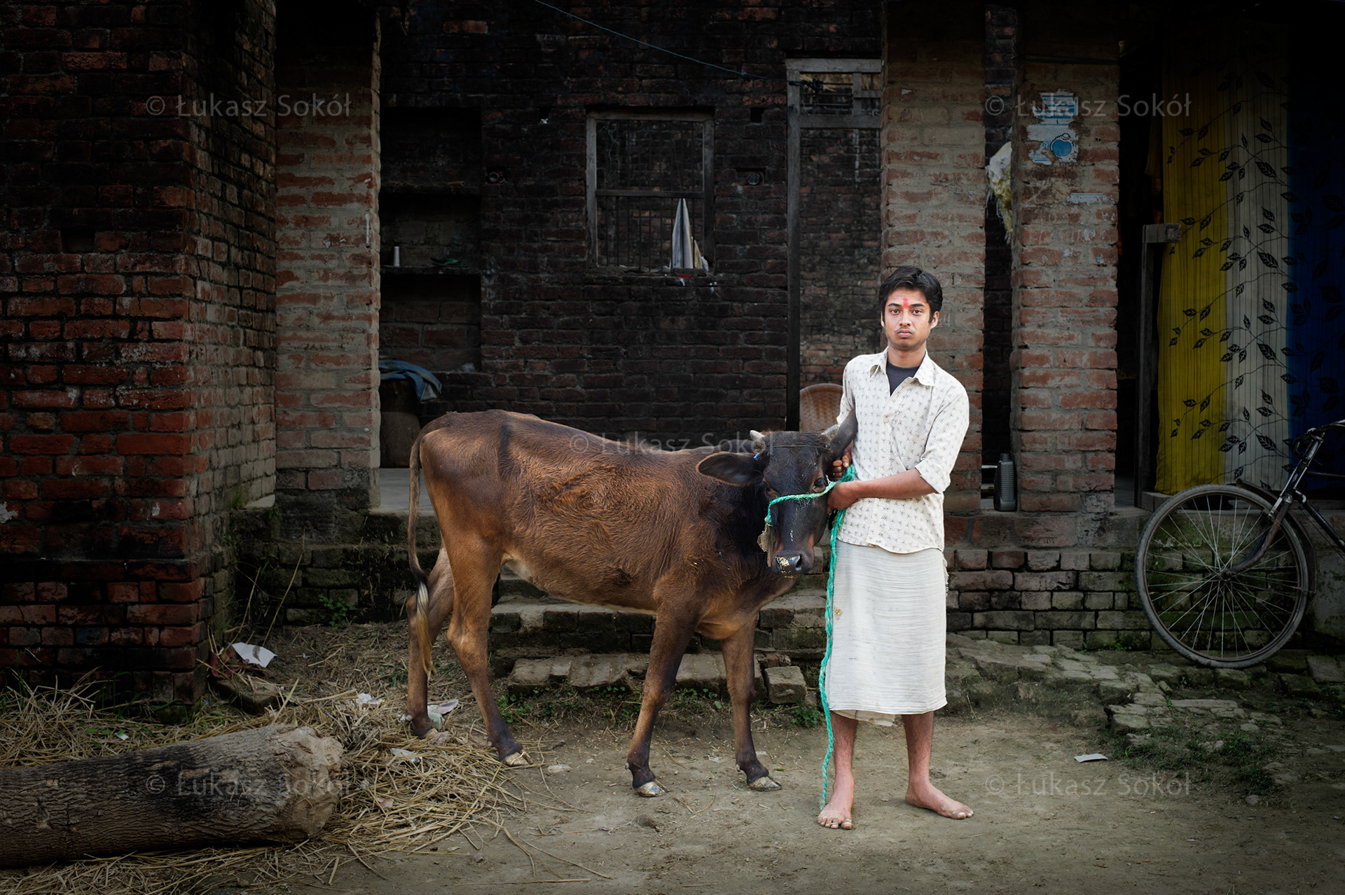 Ramchandra Pandey, 17 years old. He has got 5 brothers and 2 sisters. The cow is important for him and his family. It gives milk which they sell, drink and make butter from. Dried cow poop serve as a fuel on which they cook. He gets up at 6am every day. After school he feeds the cow, cleans the house and the farmyard, and does shopping at the market. In his free time he watches TV. He learns at night. When he grows up he wants to be a journalist. Kakathi, India, 2012