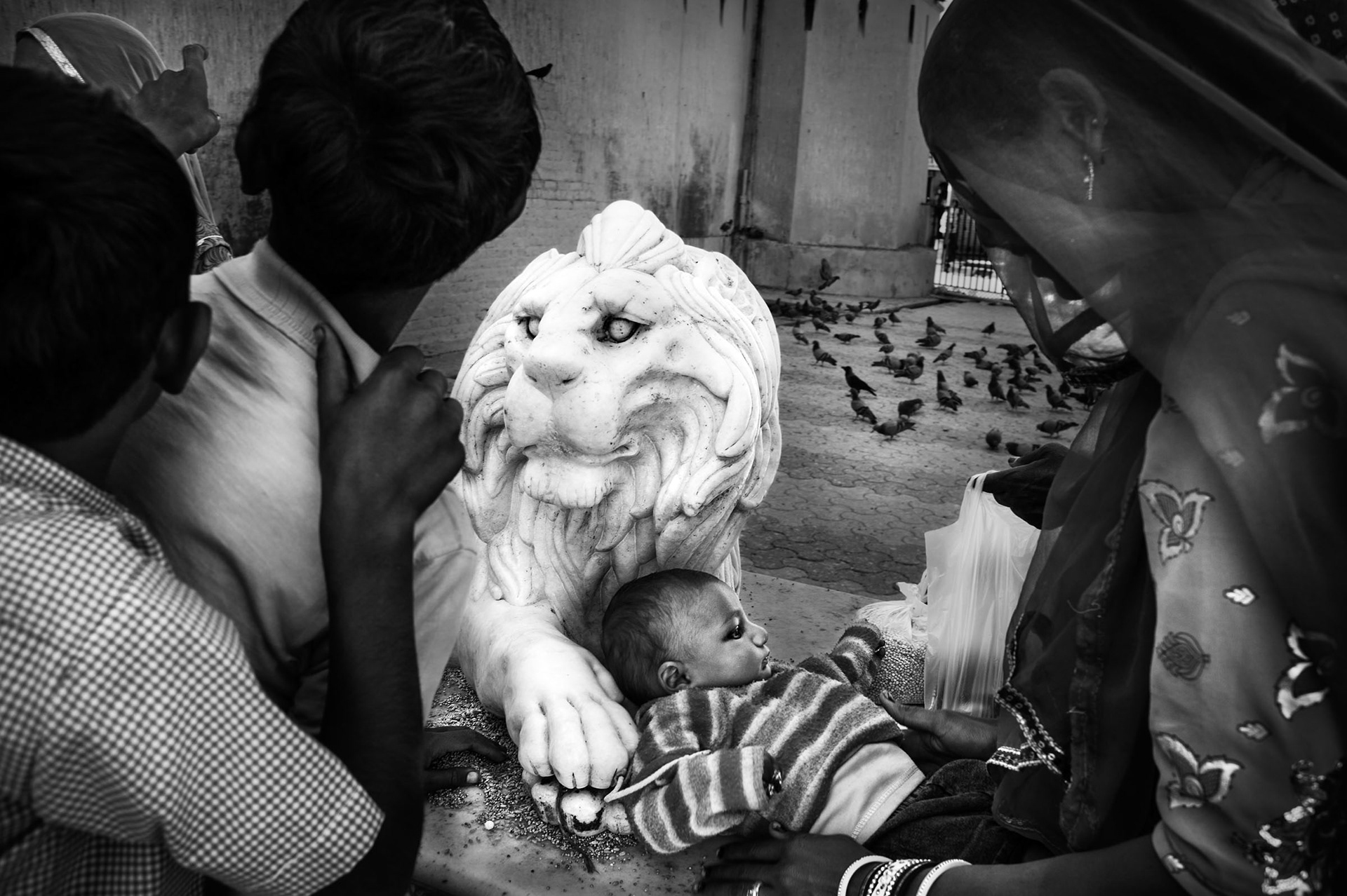 A child lying next to a lion guarding the entrance to the Karni Mata temple. Deshnok, India 2012