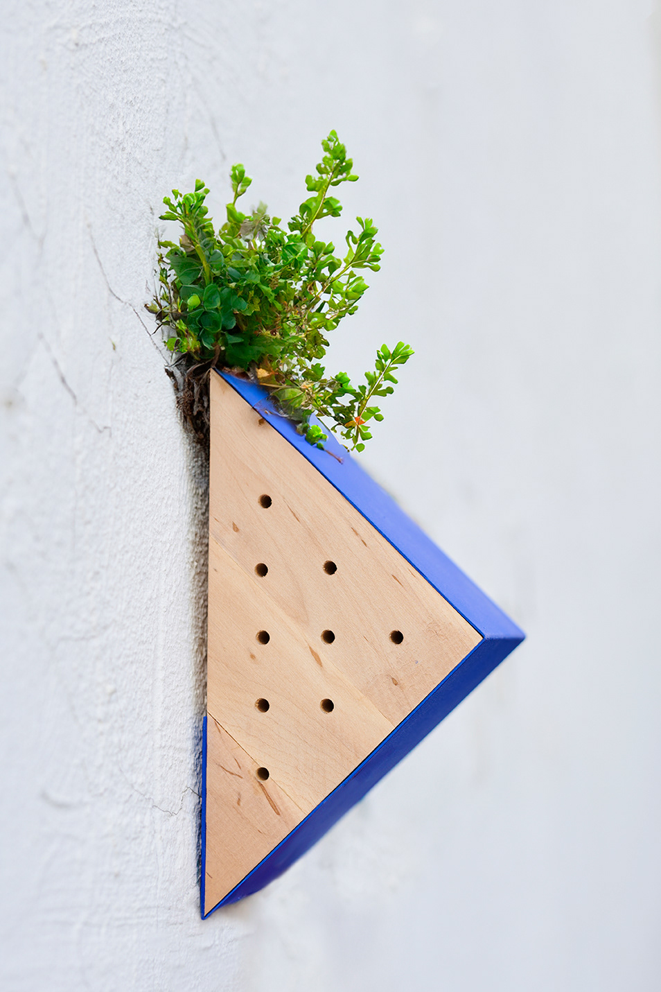 Wizualizacja zieleni / Plant visualization