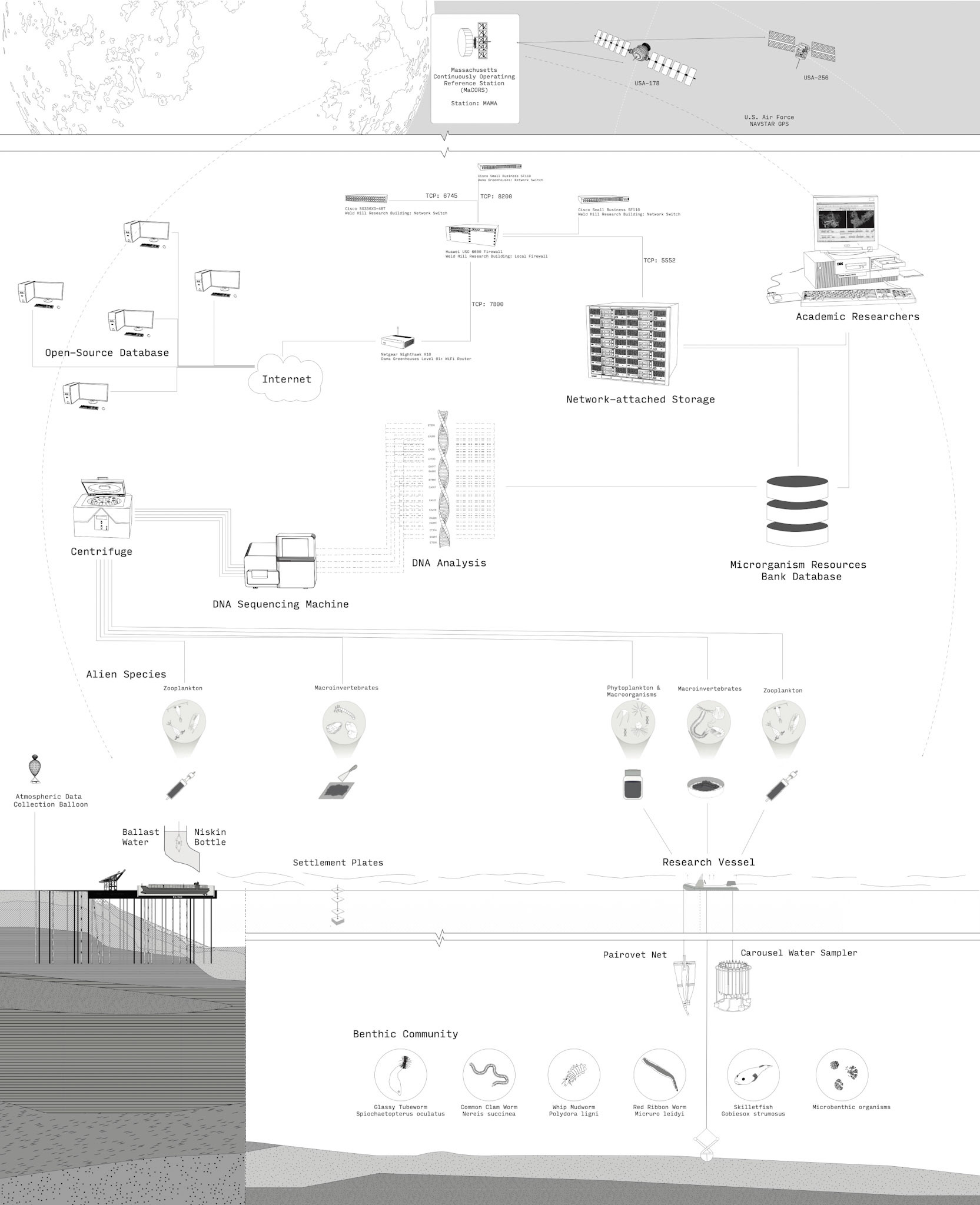 Network Diagram
