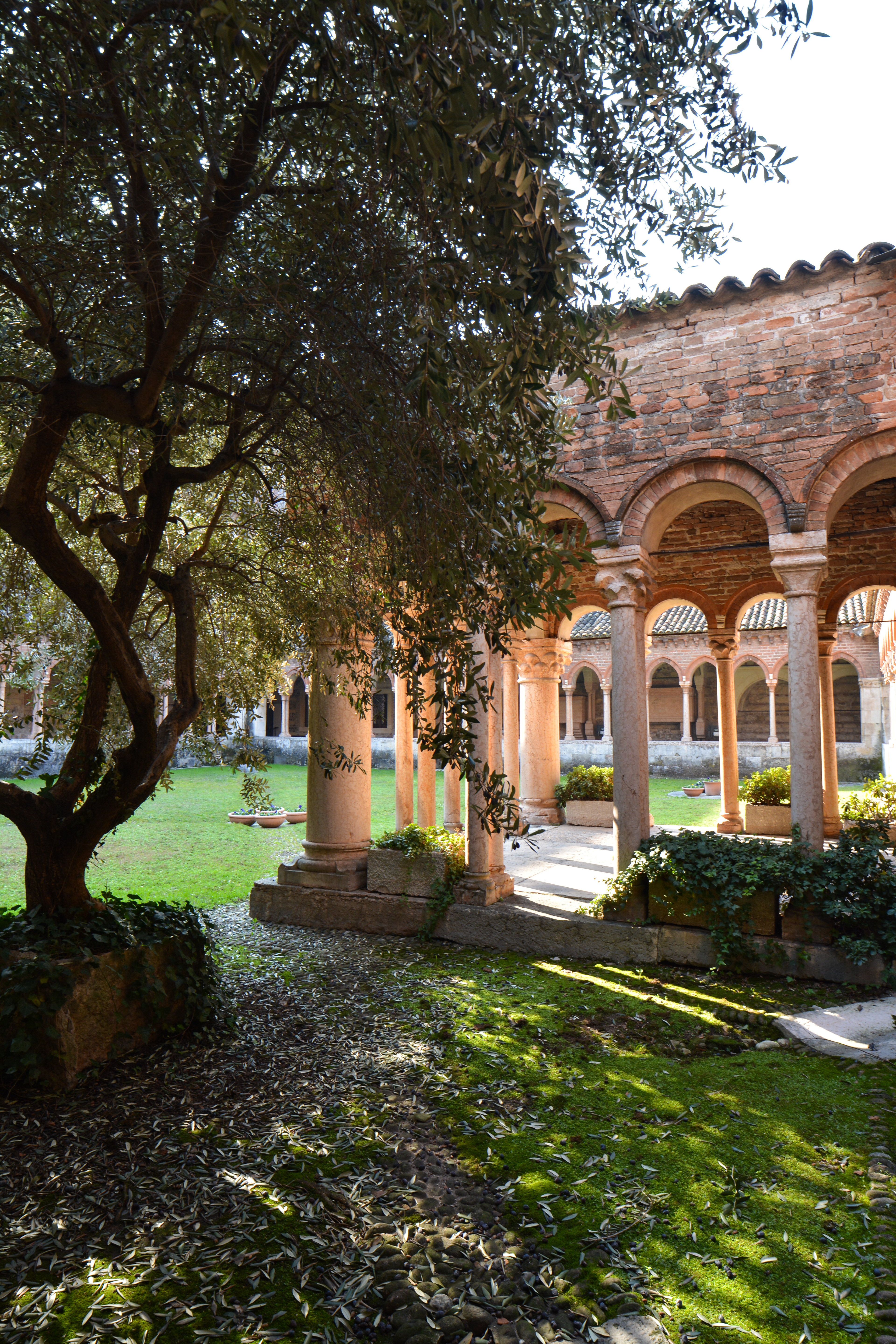 Courtyard of Basilica di San Zeno Maggiore