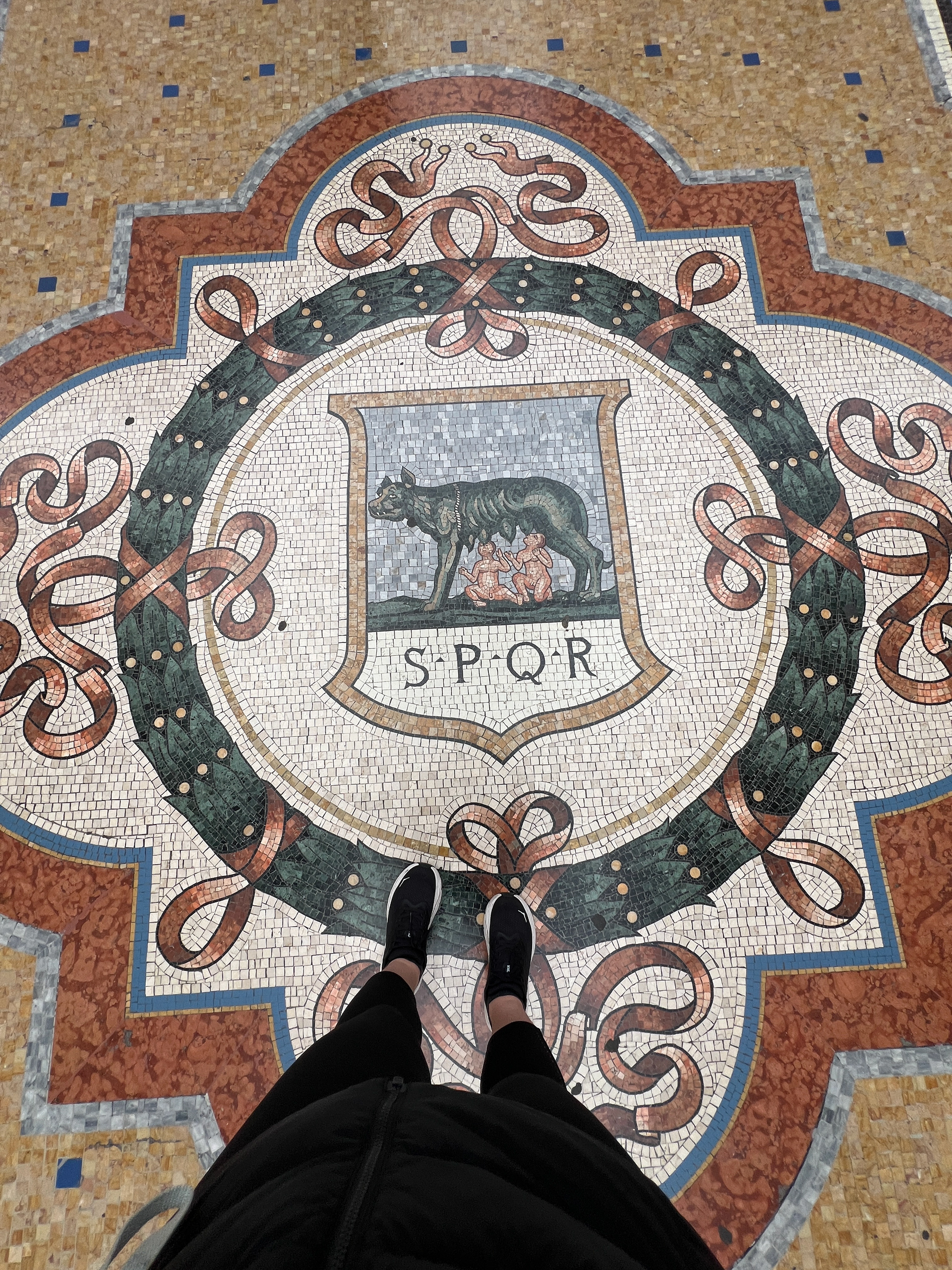 Mosaic on the floor of Galleria Vittorio Emanuele II