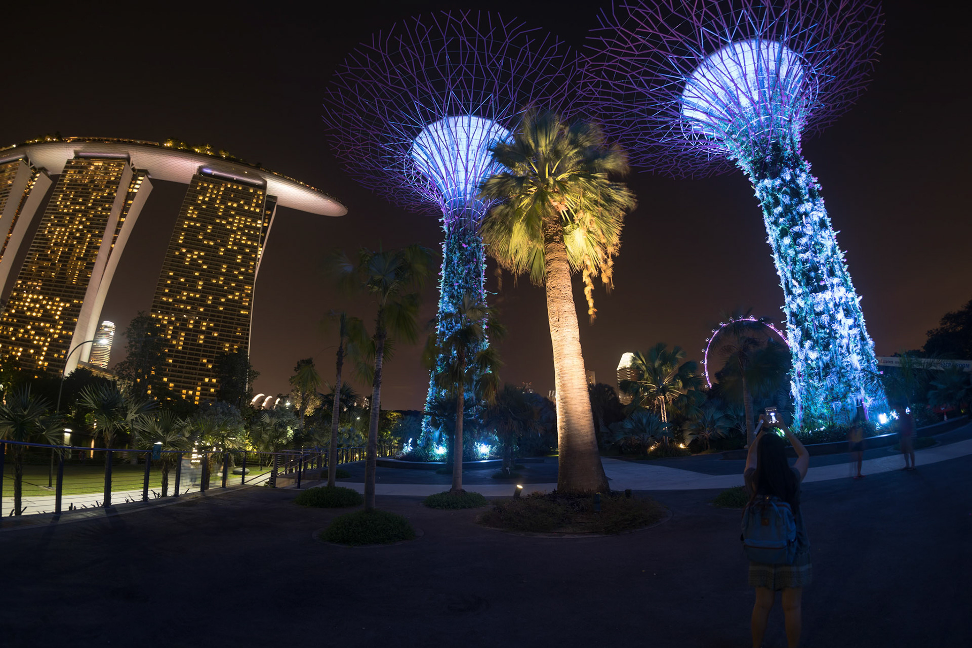 Our last night of our three week trip through Asia was spent in Singapore, wandering through the beautiful Gardens by the Bay.