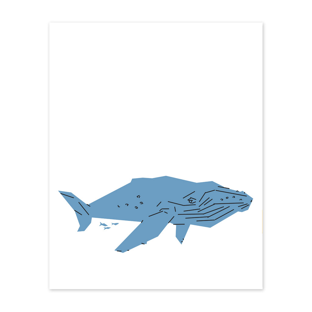 humpback whale