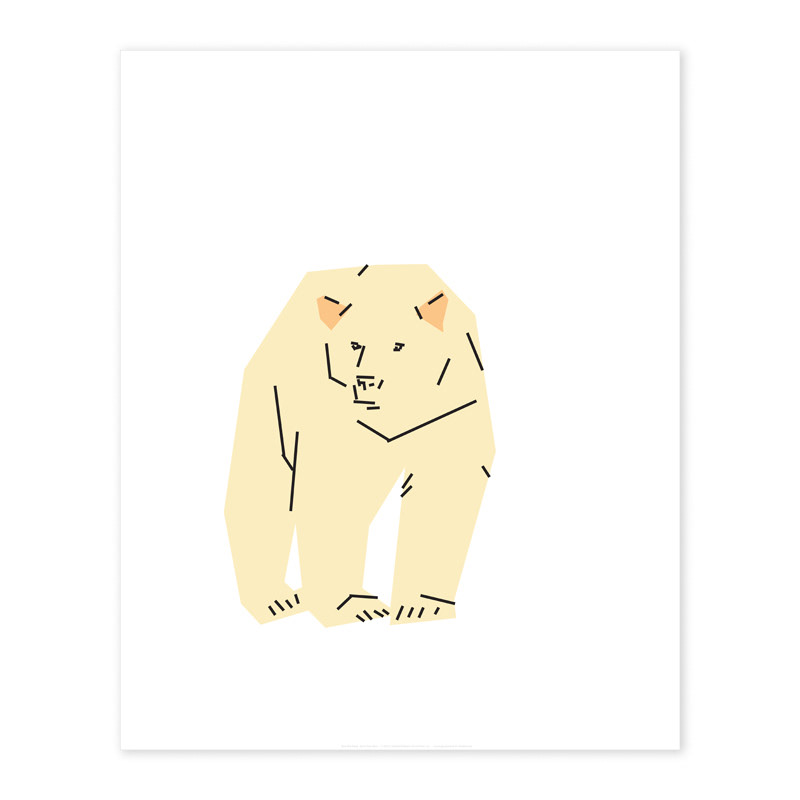Spirit Bear
