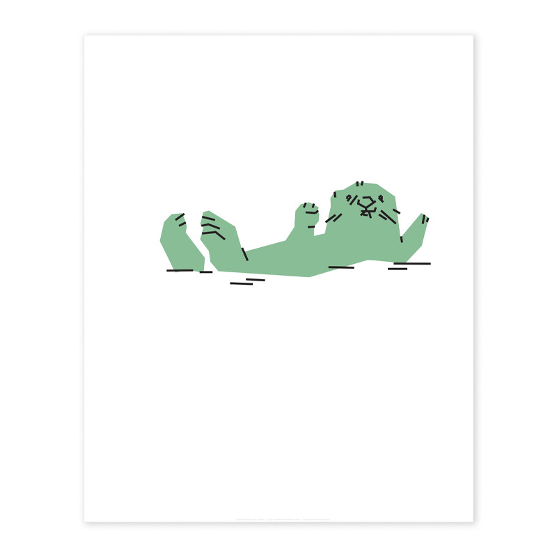 sea otter
