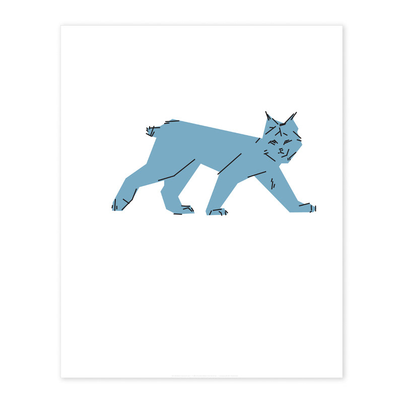 lynx