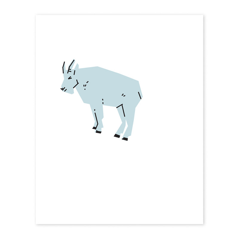 mountain goat