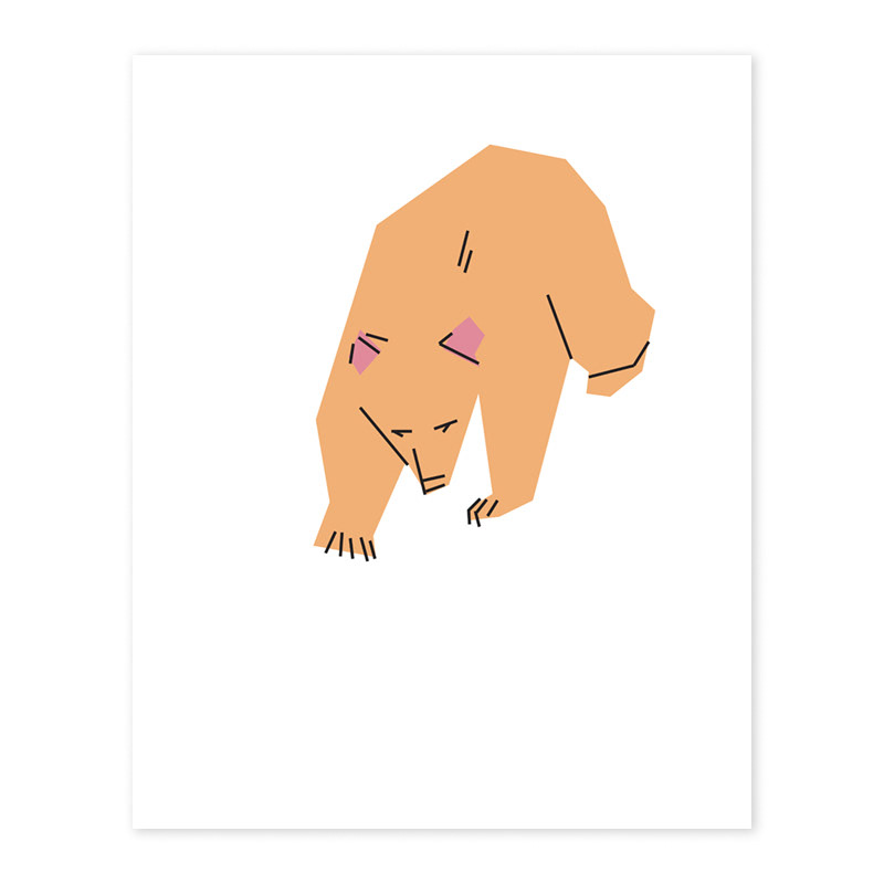 grizzly bear