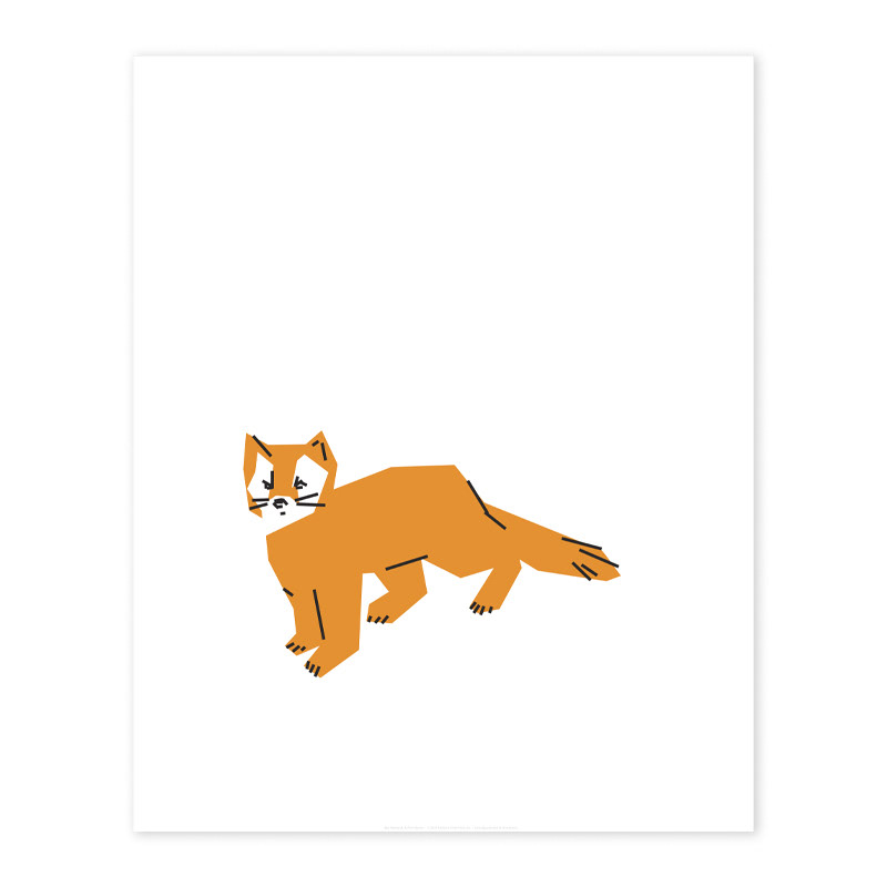 pine marten