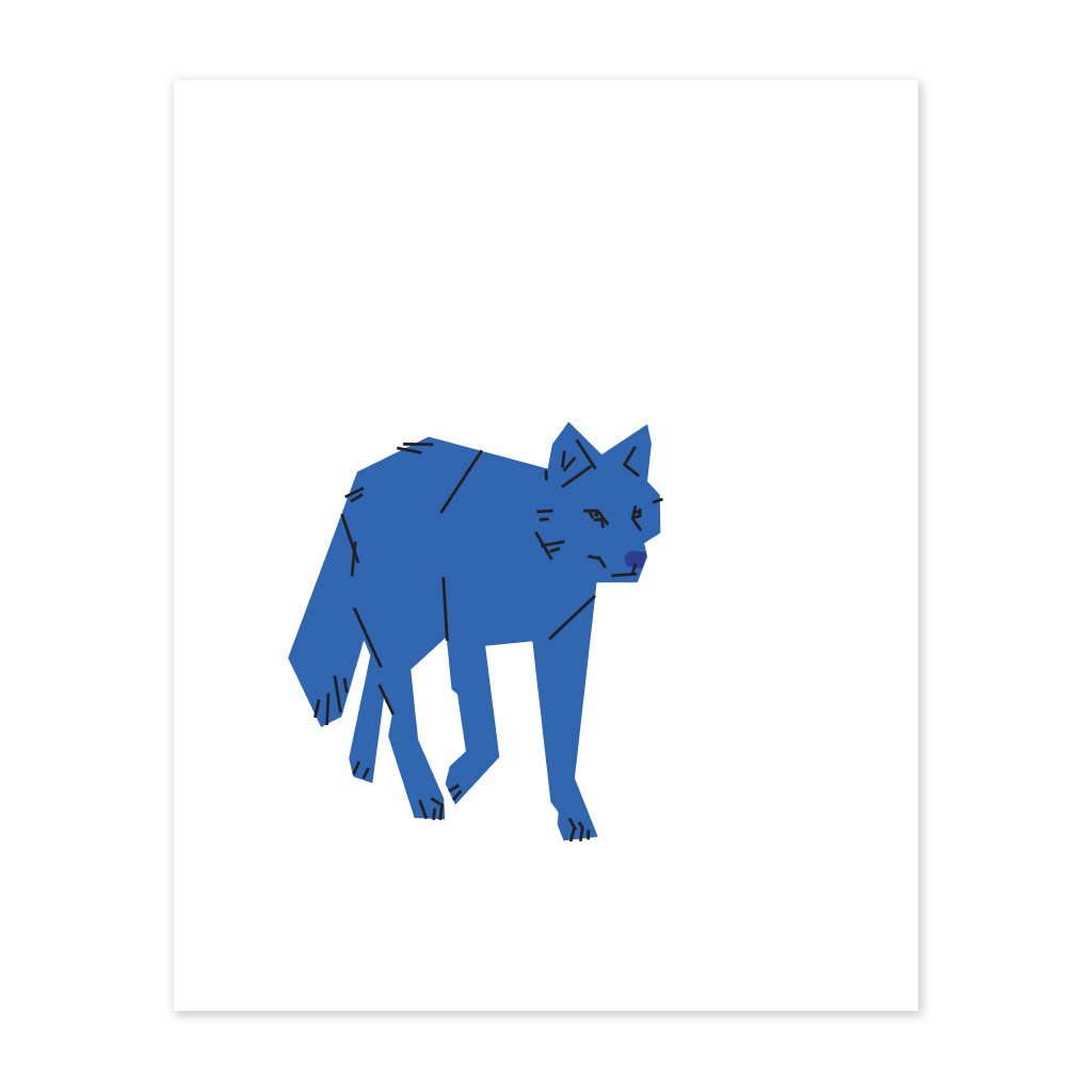 coyote