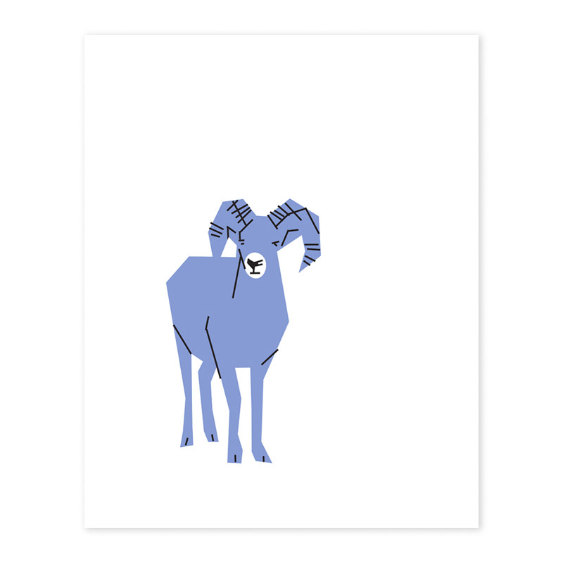 bighorn sheep