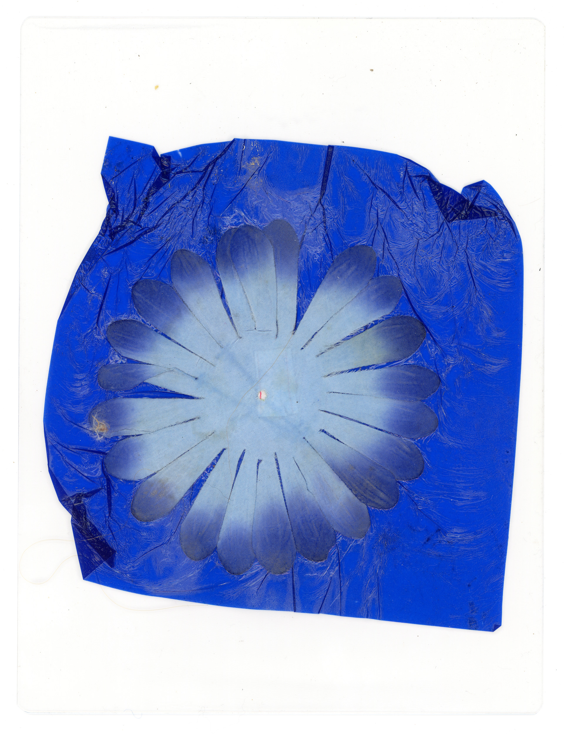 Tulio Costa. Sem título (flor azul), 2022, flor artificial e plástico encontrados seladas em poliéster, 22,5 x 17 cm (TC243)