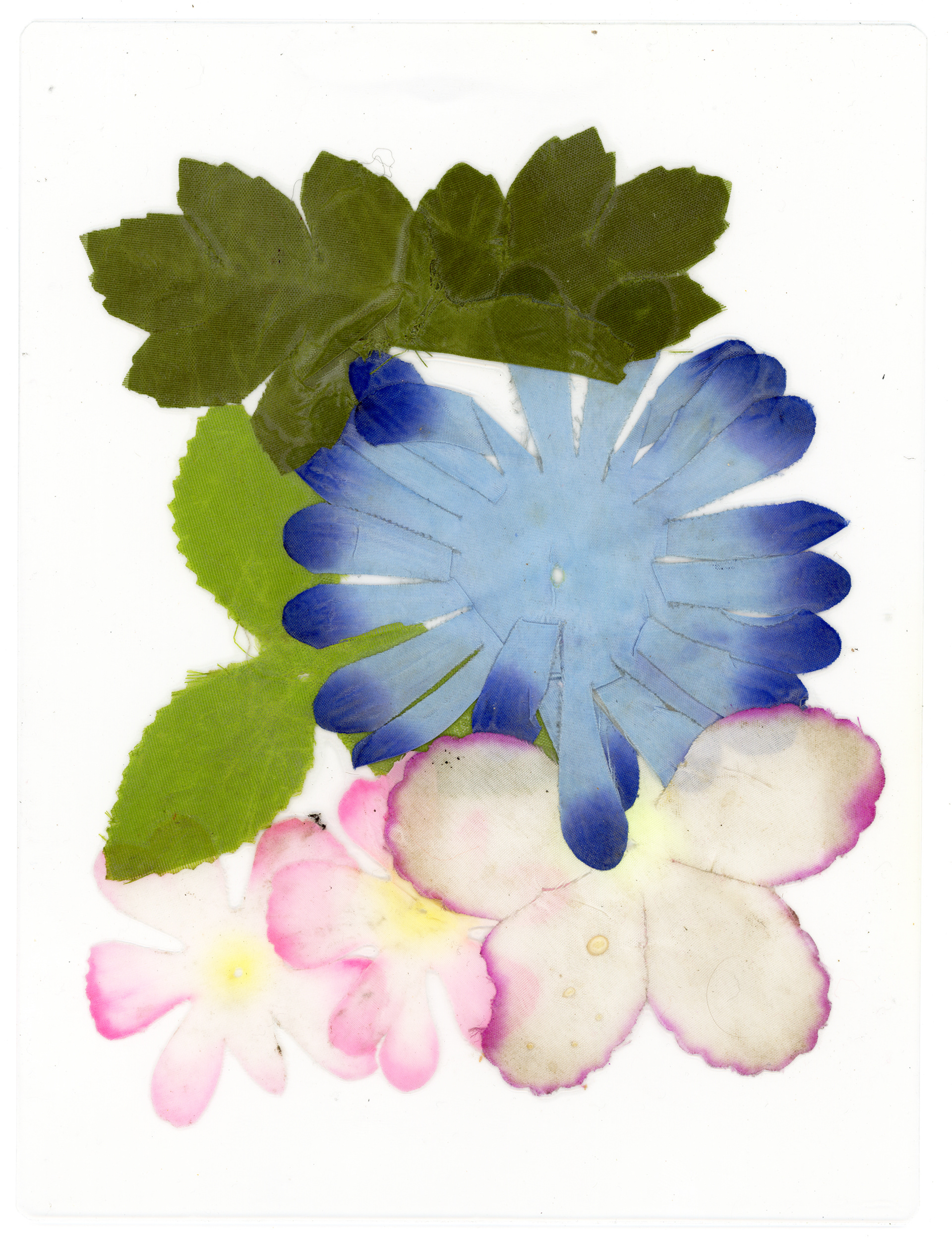 Tulio Costa. Sem título (composição com flores), 2022, flores e folhas artificiais encontradas seladas em poliéster, 22,5 x 17 cm (TC242)