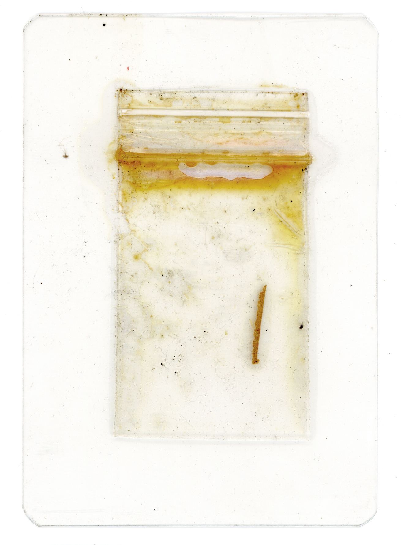 Tulio Costa. Zip Lock #12, da série Vício, 2022, embalagem plástica encontrada selada em poliéster, 10,5 × 7,5 cm (TC317)