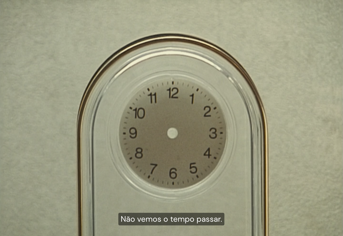 frame #138