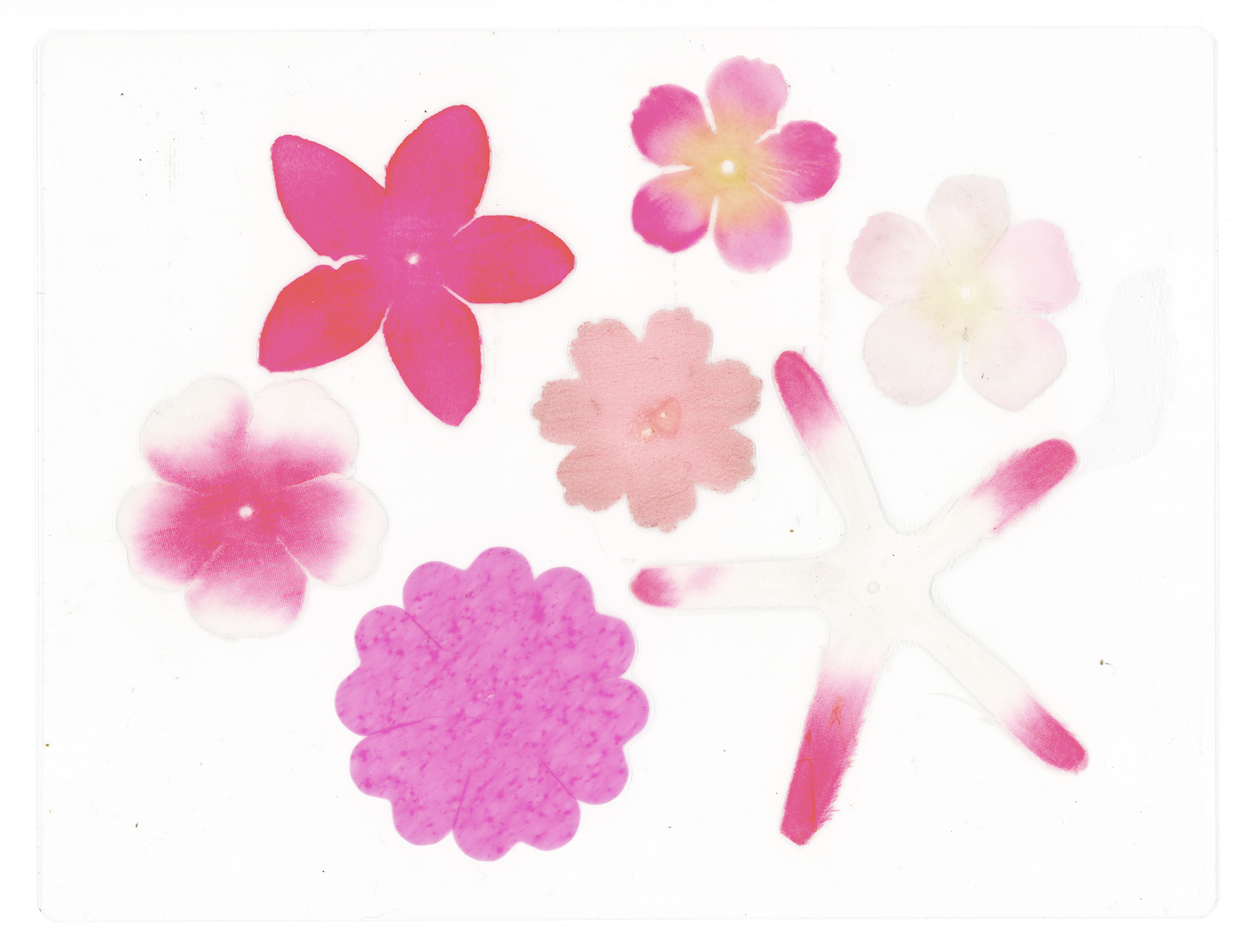 Tulio Costa. Composição com flores #2 (de/para Gabriel, [vírgula]), 2022, flores artificiais encontradas seladas em poliéster, 17 × 22,5 cm (TC326)