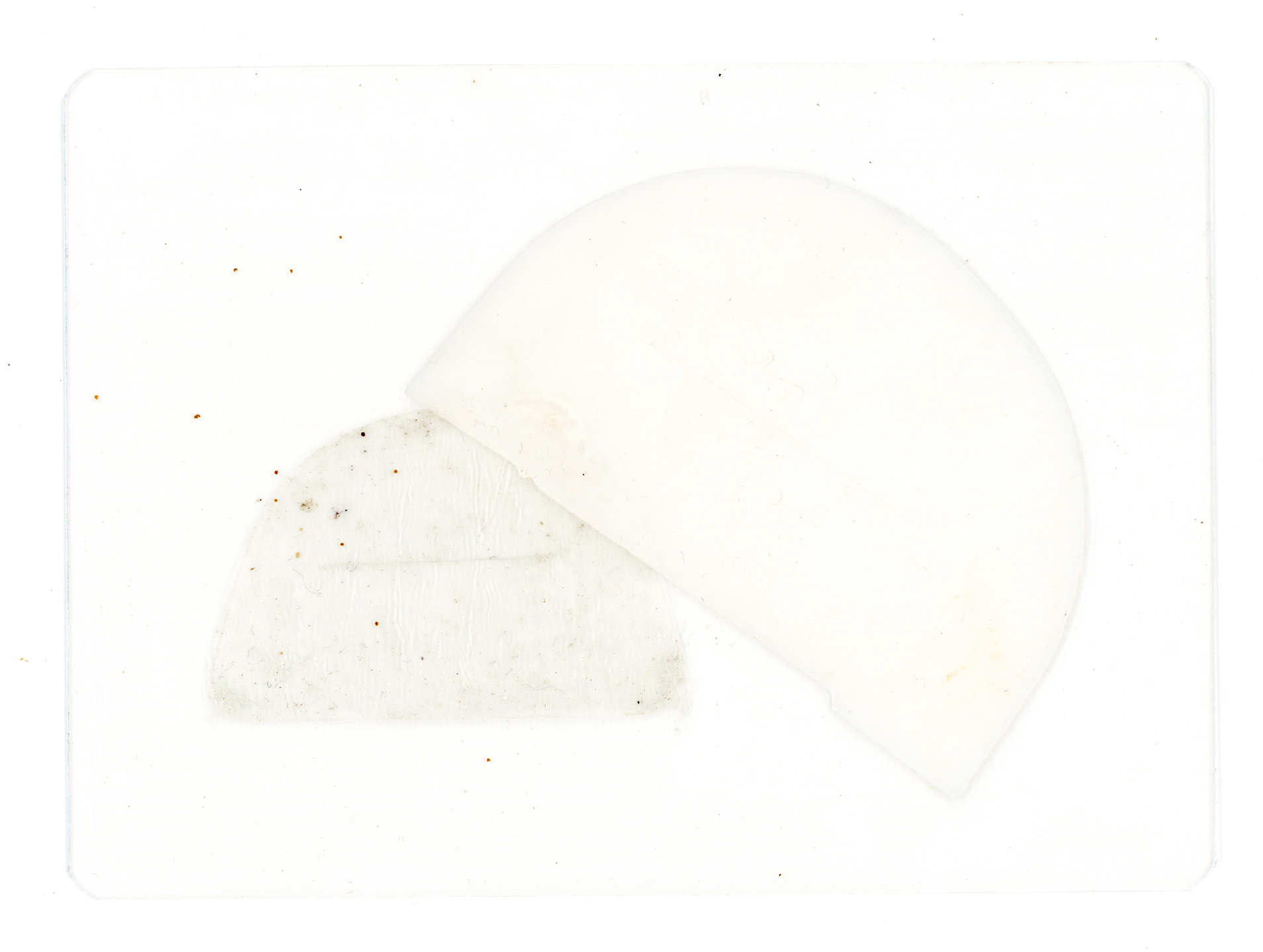 Tulio Costa. Sem título (meias-luas #26), 2024, fragmentos de sacola plástica selados em poliéster, 8 x 11 cm (TC287)