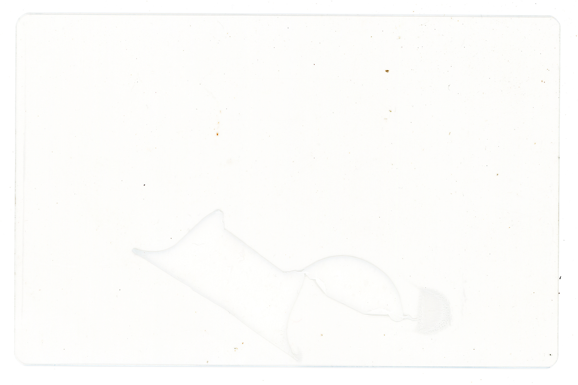 Tulio Costa. Fantasminha III, 2024, fragmento de sacola plástica selados em poliéster, 11 x 17 cm (TC286)