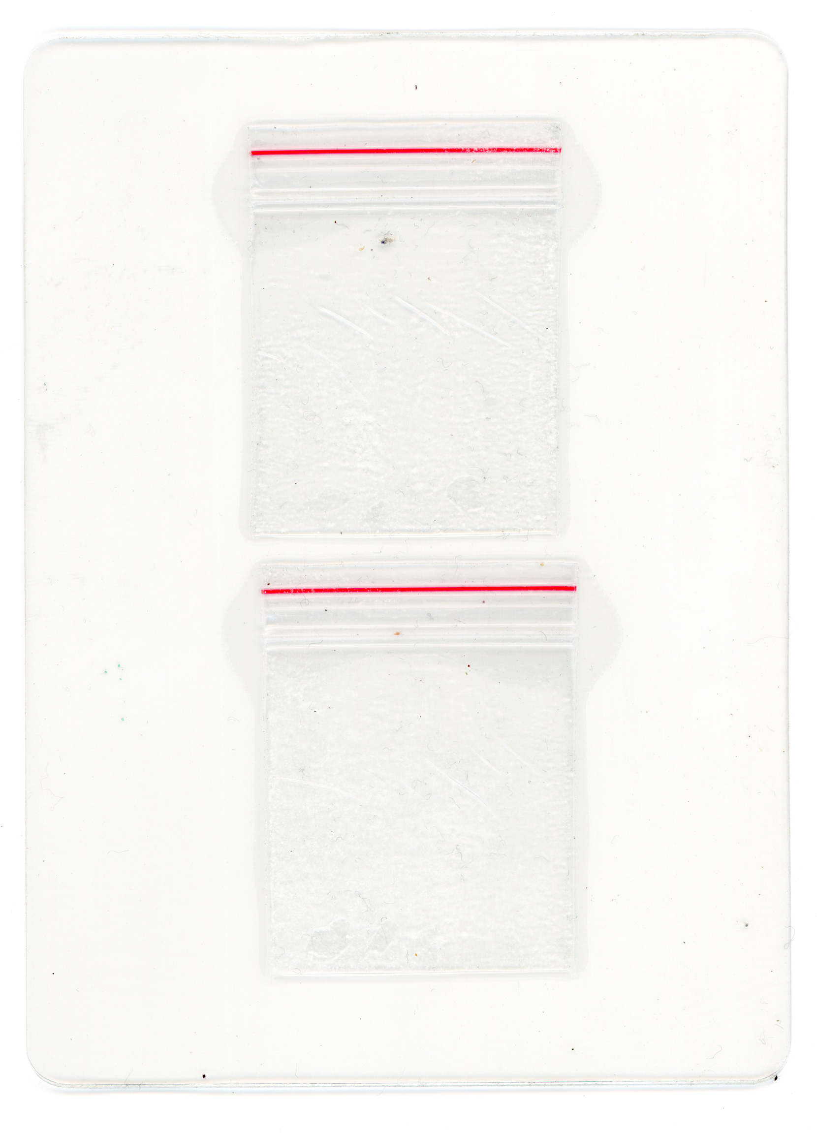 Tulio Costa. Zip Lock #8, da série Vício, 2022, embalagens plásticas encontradas seladas em poliéster, 13,5 × 10 cm (TC313)