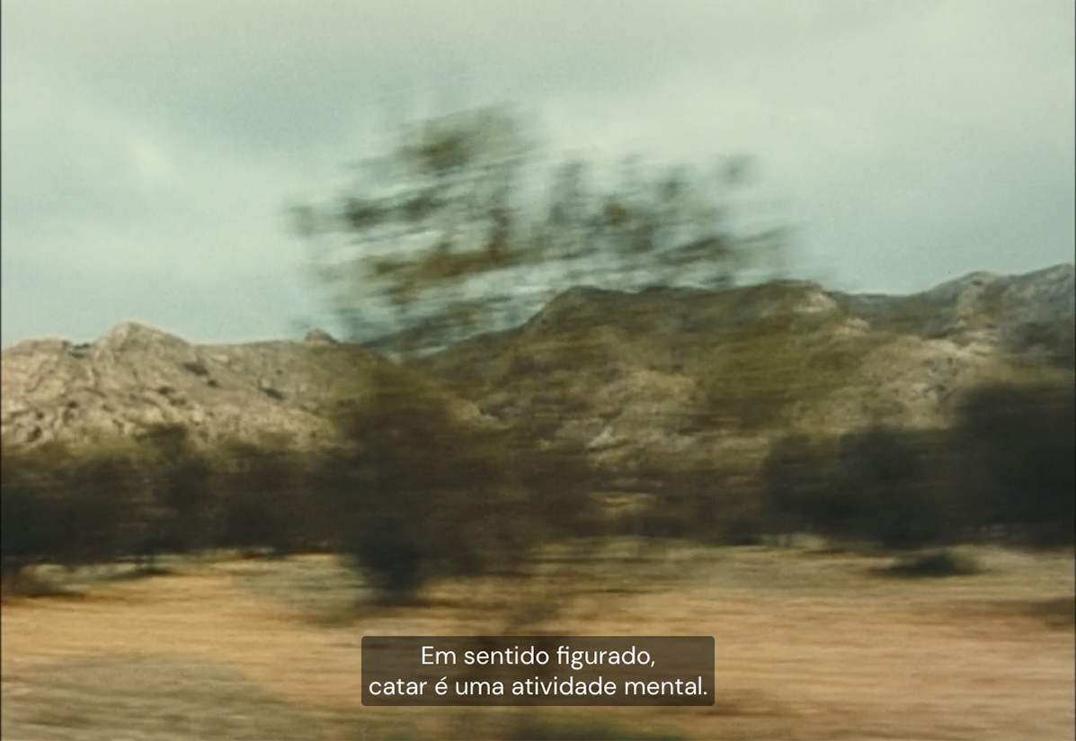 frame #132