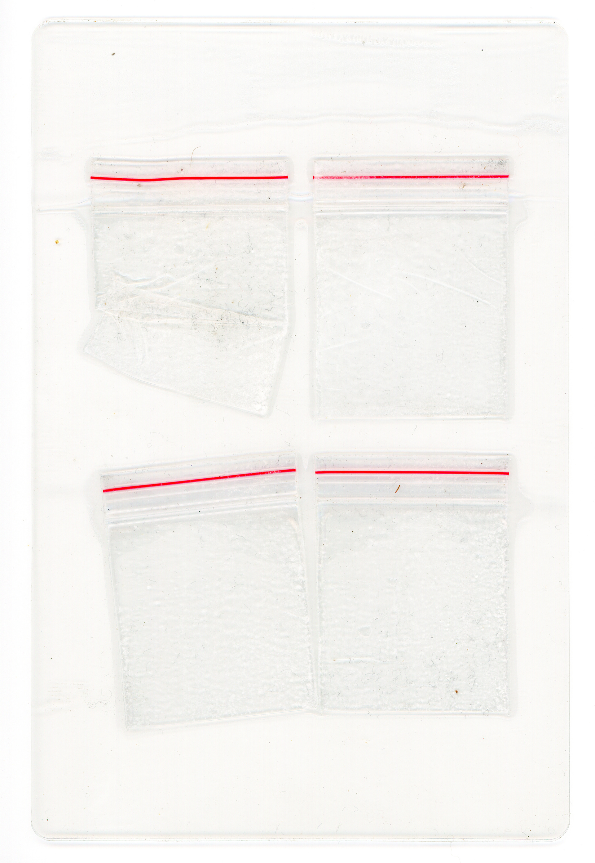 Tulio Costa. Zip Lock #2, da série Vício, 2022, embalagens plásticas encontradas selados em poliéster, 17 × 11 cm (TC307)