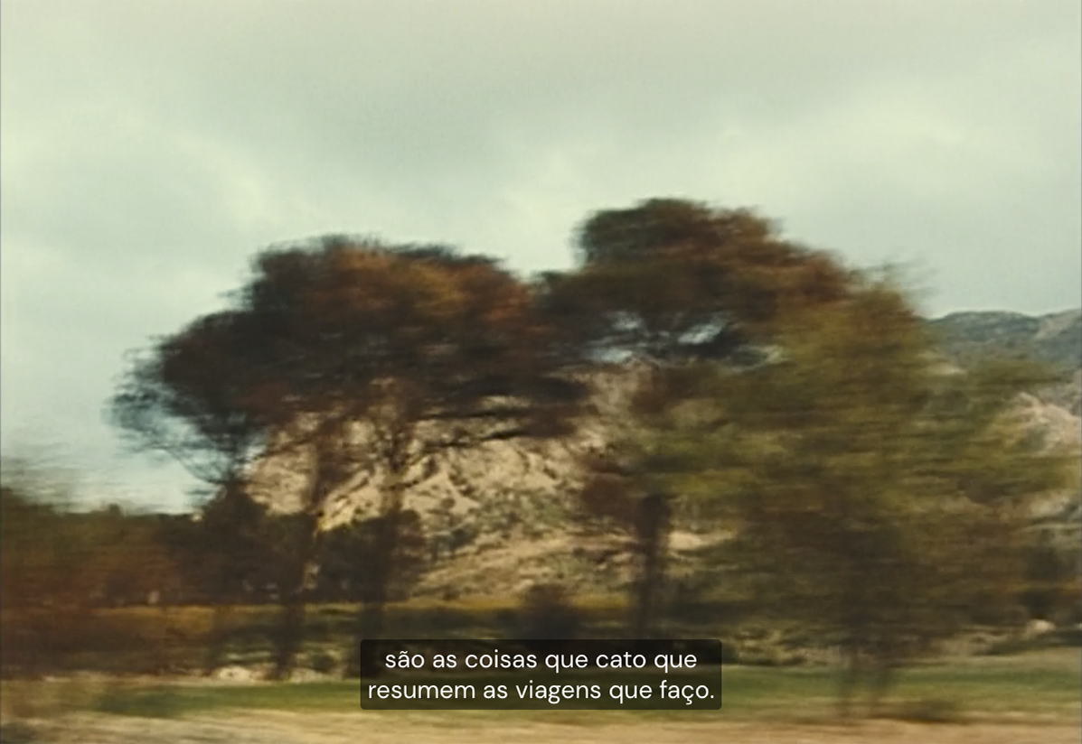 frame #133