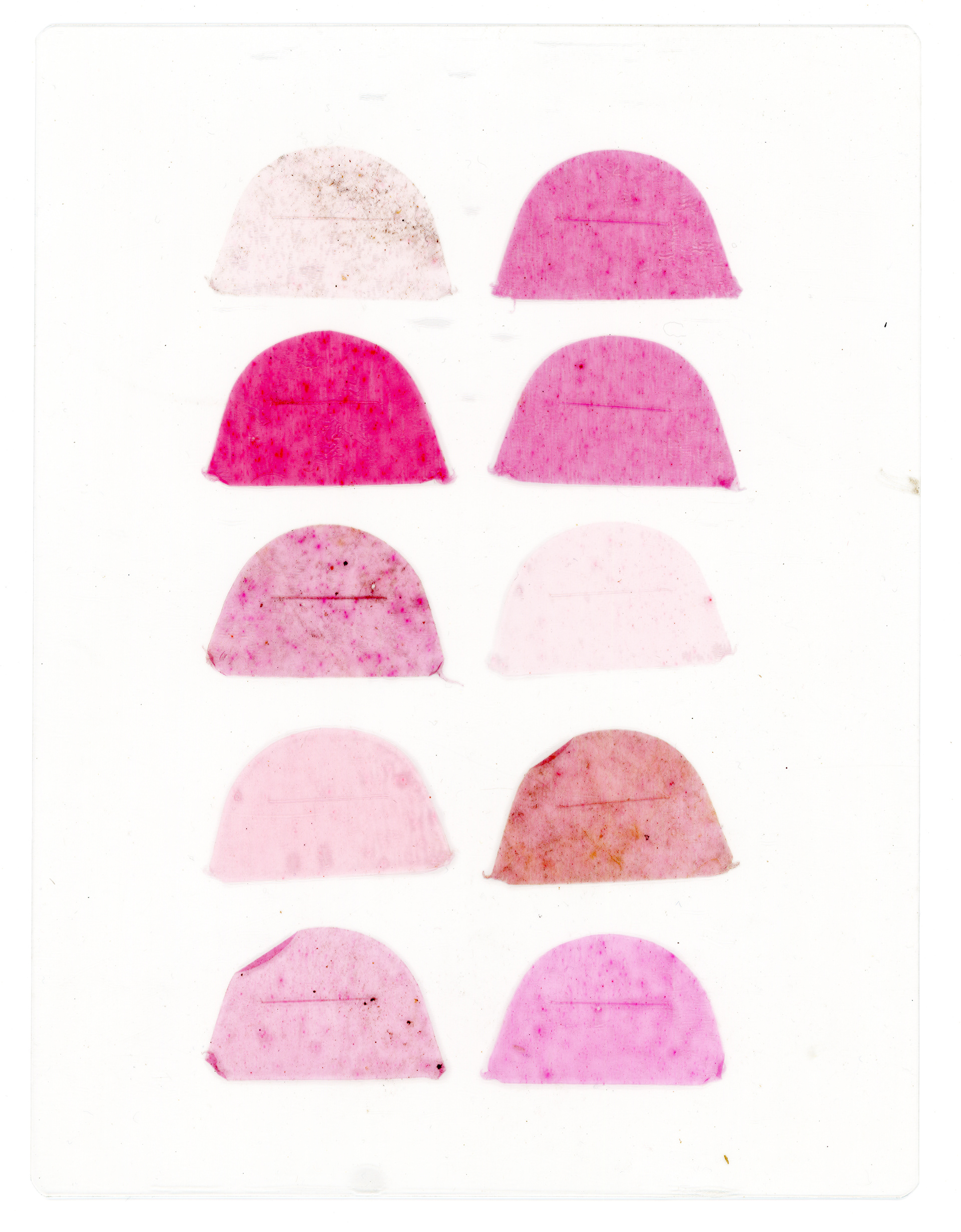 Tulio Costa. Sem título (meias-luas #6), 2022, fragmentos de sacola plástica selados em poliéster, 22,5 x 17 cm (TC265)