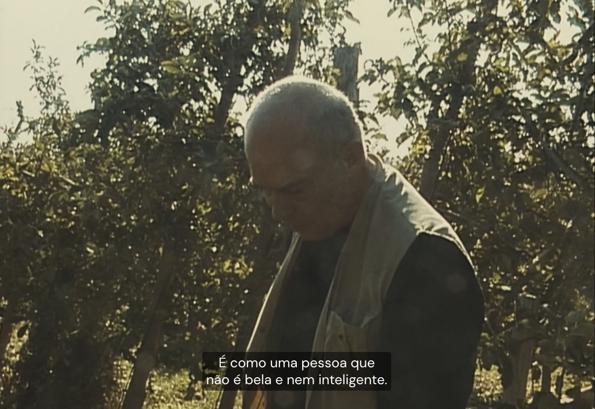 frame #31