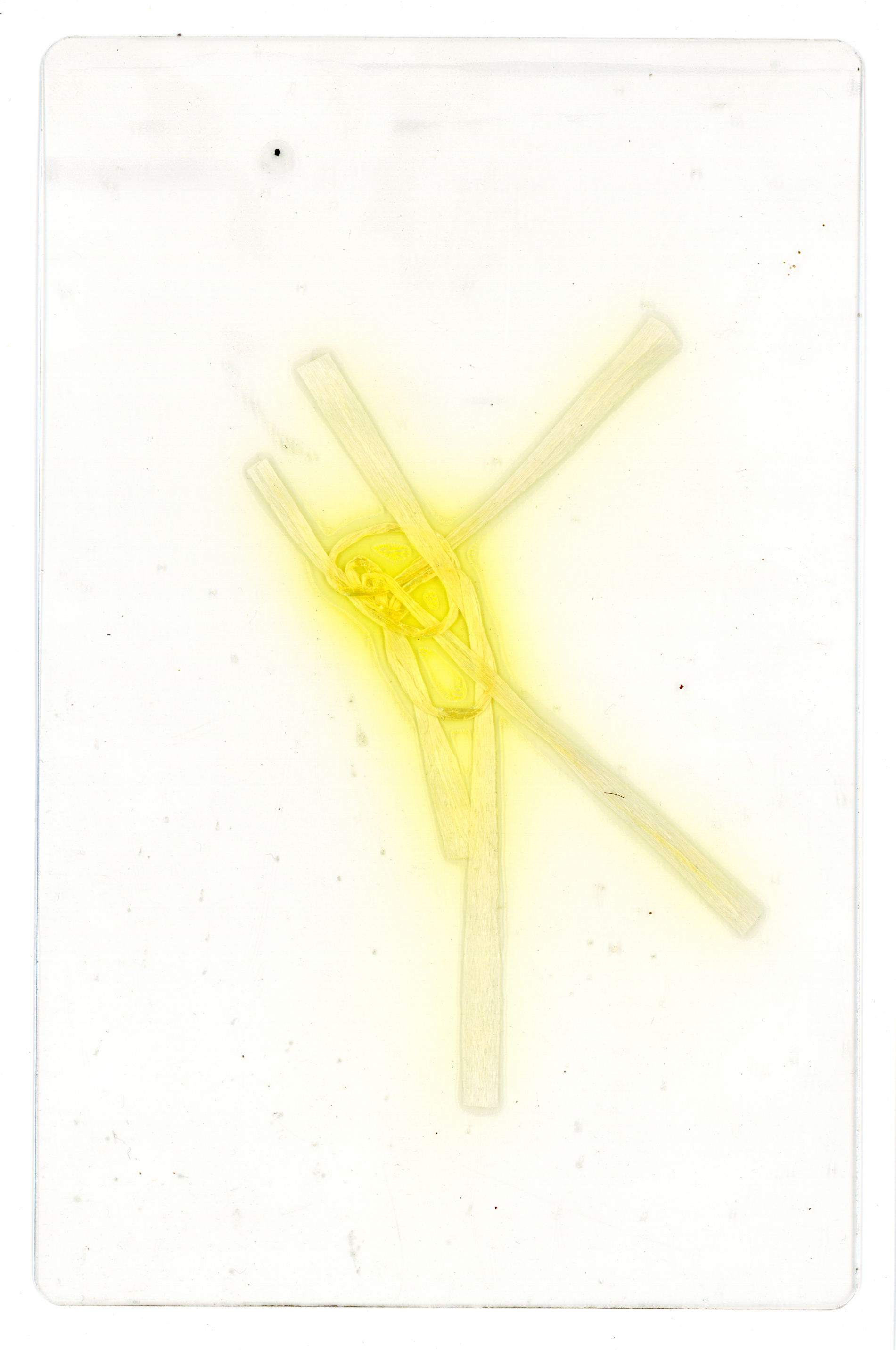 Tulio Costa. Fita amarela, 2022, fita decorativa encontrada selada em poliéster, 17 × 11 cm (TC334)