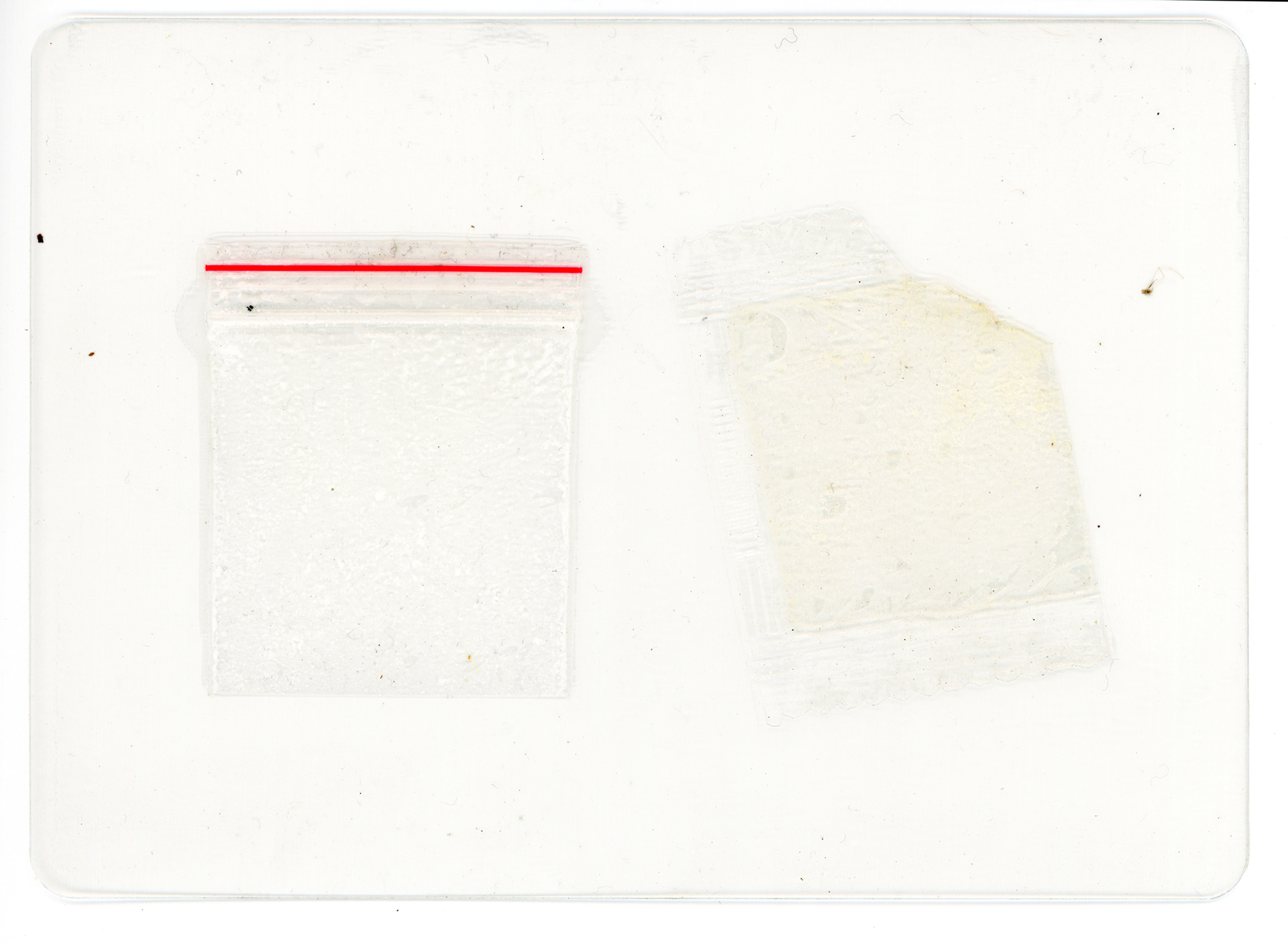 Tulio Costa. Zip Lock #3, da série Vício, 2022, embalagens plásticas encontradas selados em poliéster, 10 × 13,5 cm (TC308)
