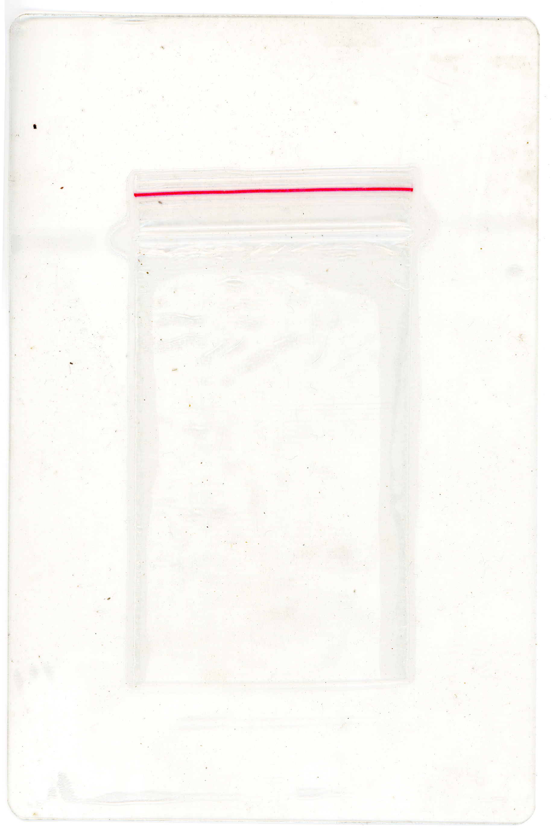 Tulio Costa. Zip Lock #11, da série Vício, 2022, embalagem plástica encontrada selada em poliéster, 17 × 11 cm (TC316)