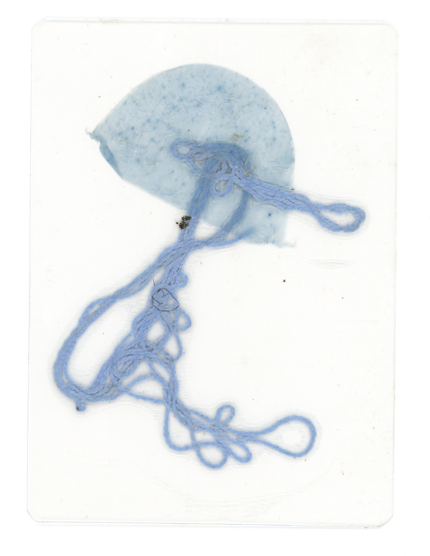 Tulio Costa. Água-viva, 2022, fragmento de sacola plástica e linha de bordado selados em poliéster, 11 x 8 cm (TC291)