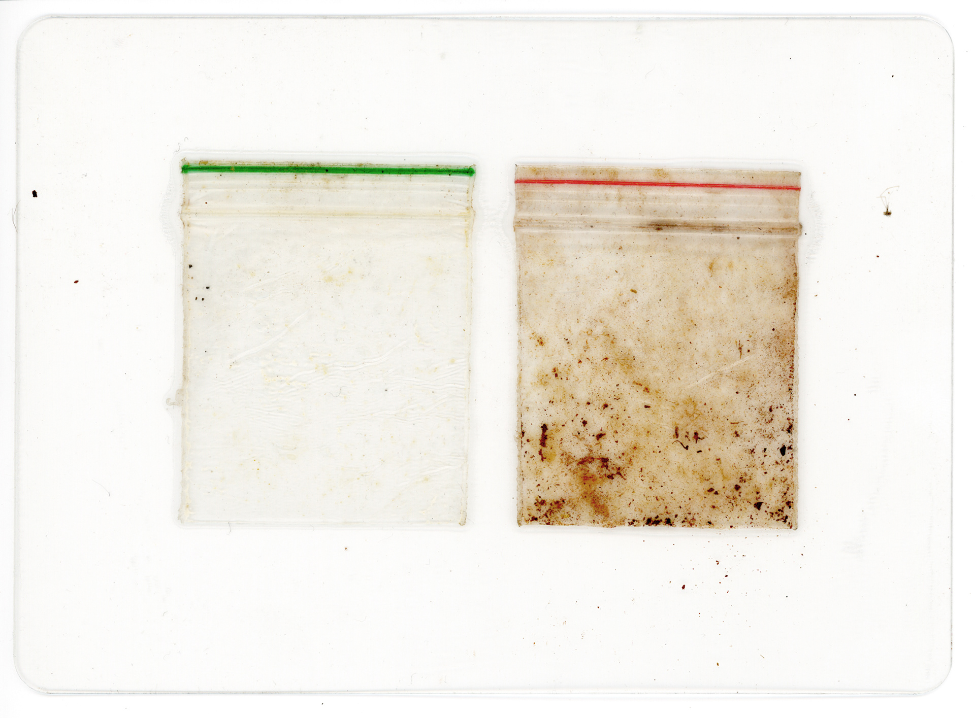 Tulio Costa. Zip Lock #6, da série Vício, 2022, embalagens plásticas encontradas seladas em poliéster, 13,5 × 10 cm (TC311)