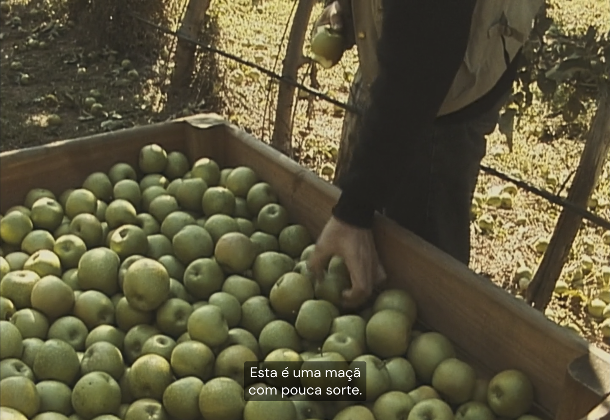 frame #30