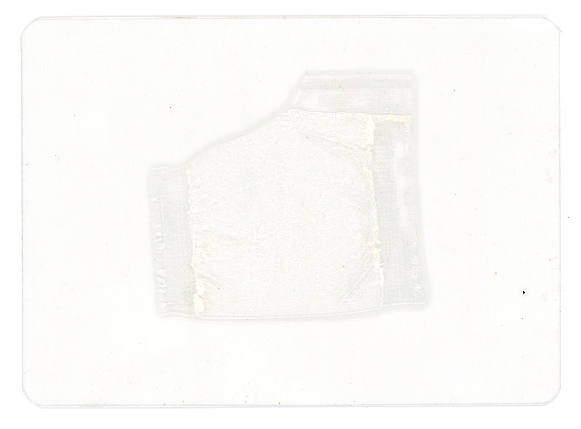 Tulio Costa. Sem título (saquinhos #4), da série Vício, 2022, embalagem plástica encontrada selada em poliéster, 8 × 11 cm (TC321)