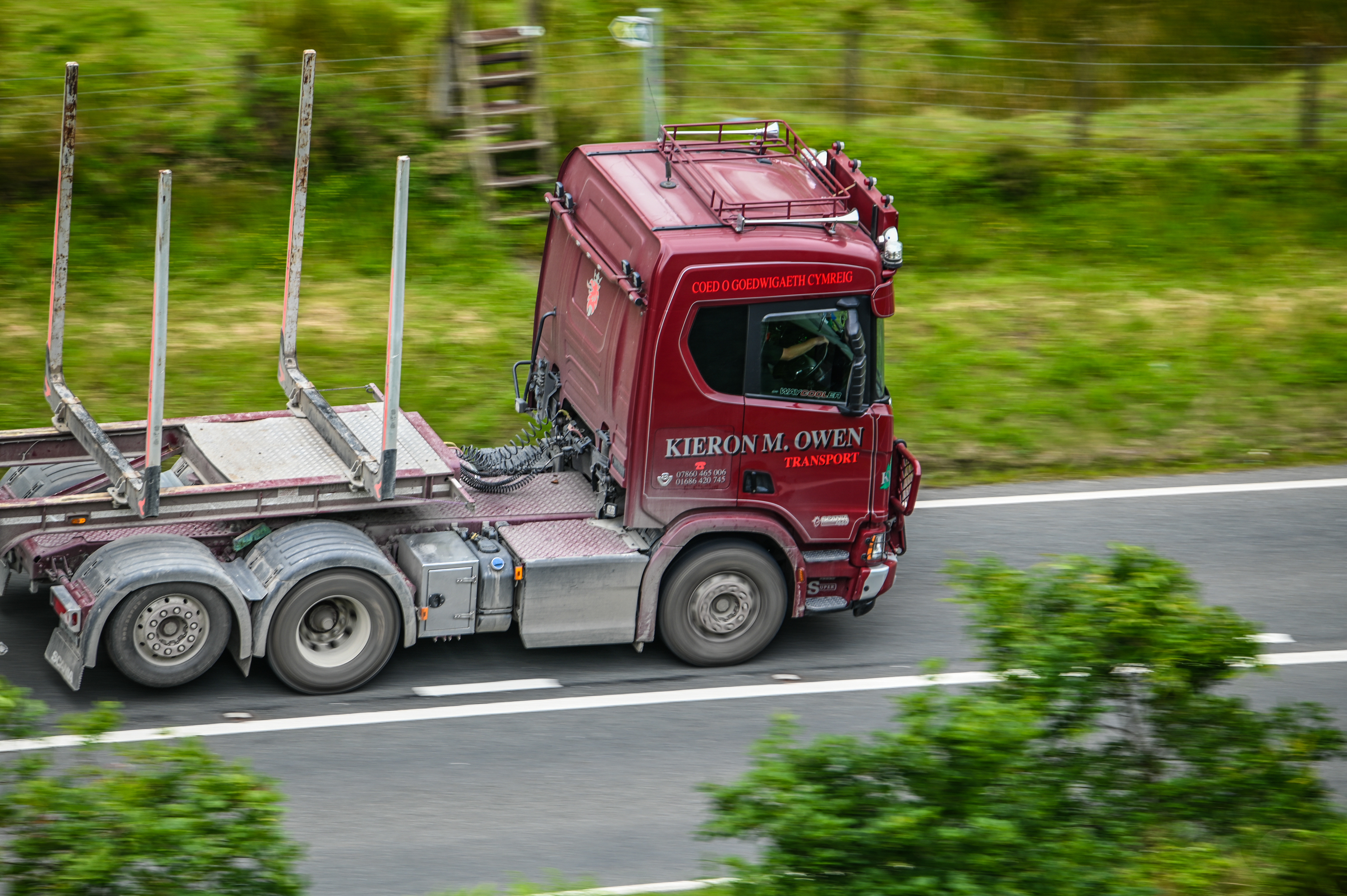 V8 Scania hauling a timber trailer in Mid Wales
