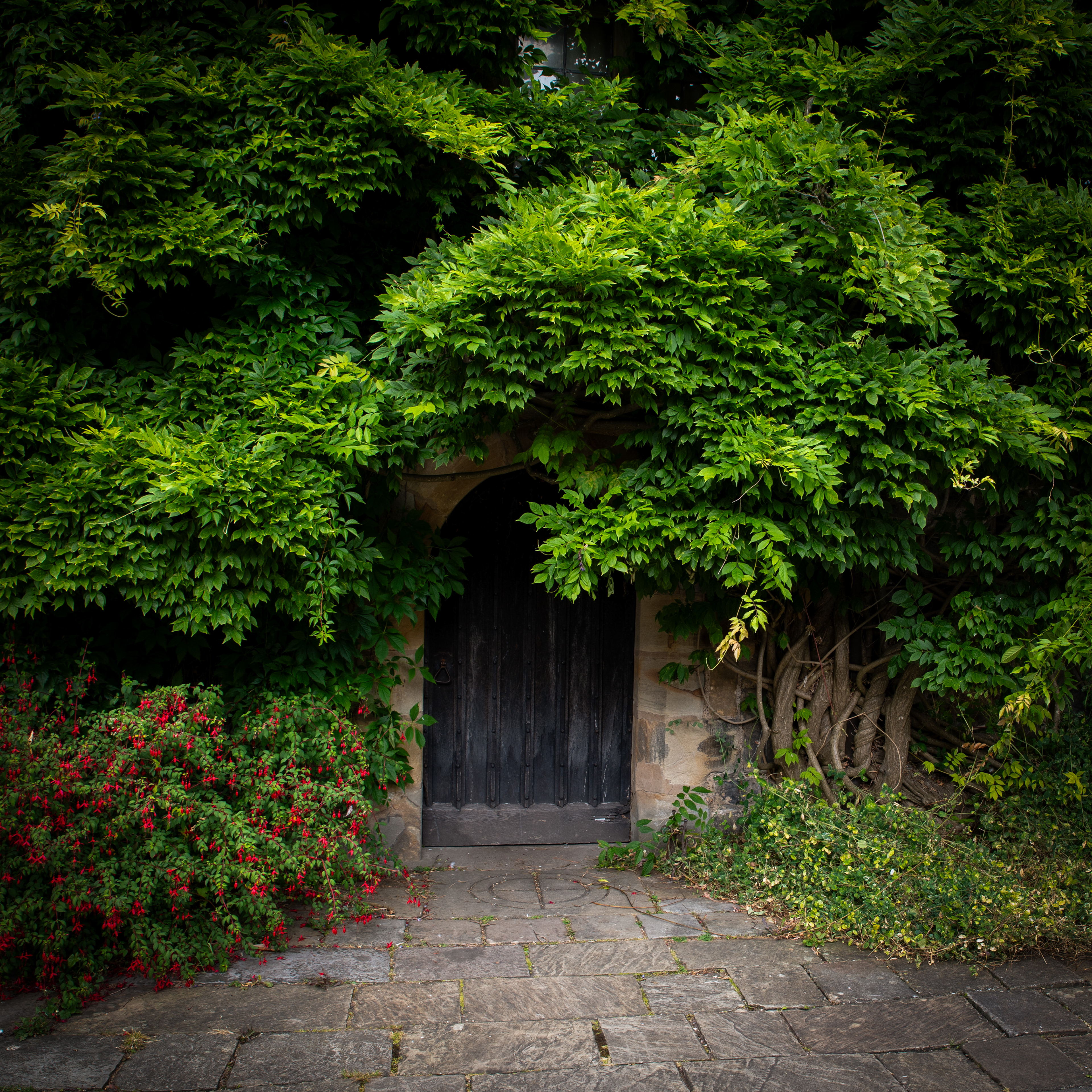 Hidden door Chirk Castle