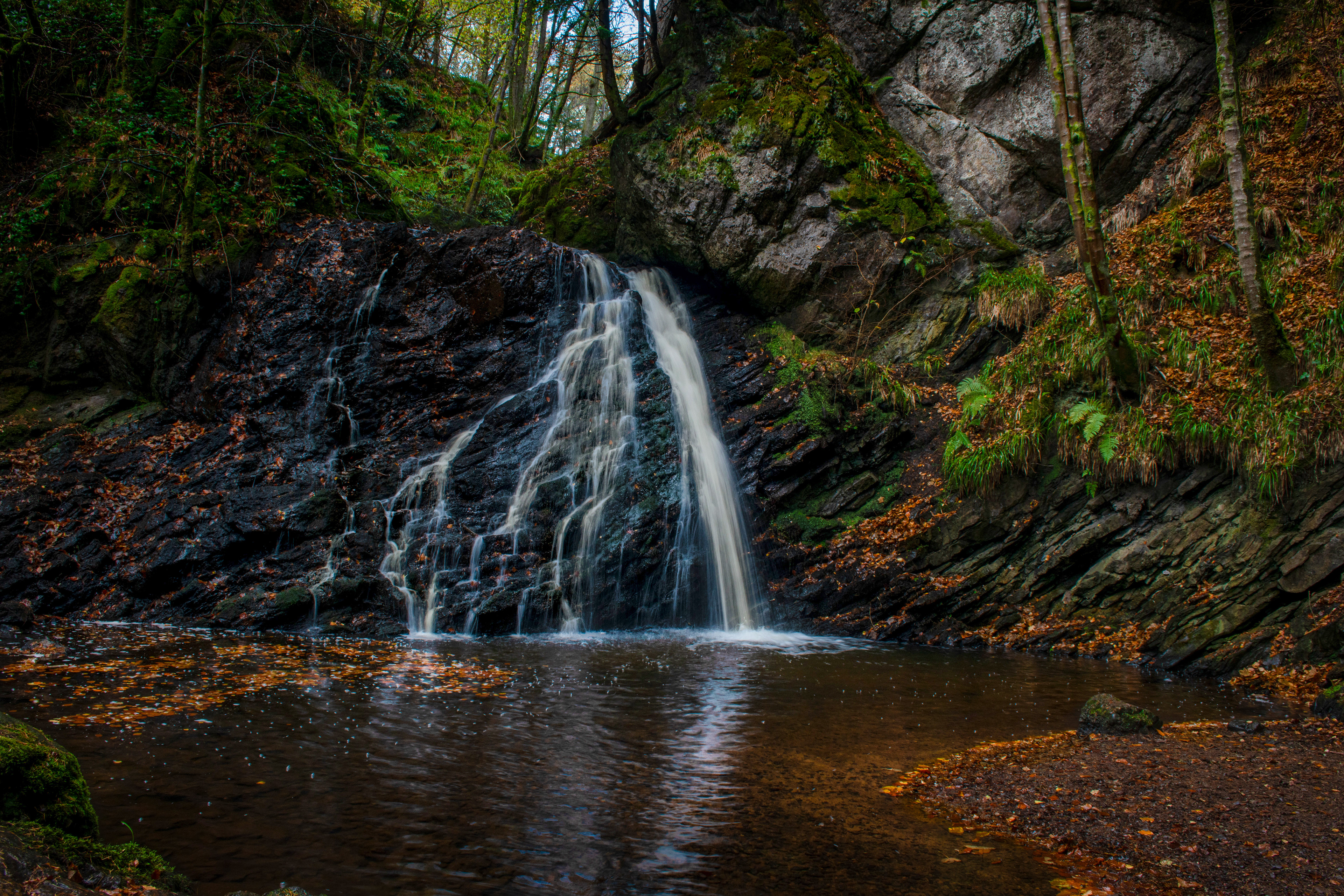 Fairy Glen, Rosemarkie
