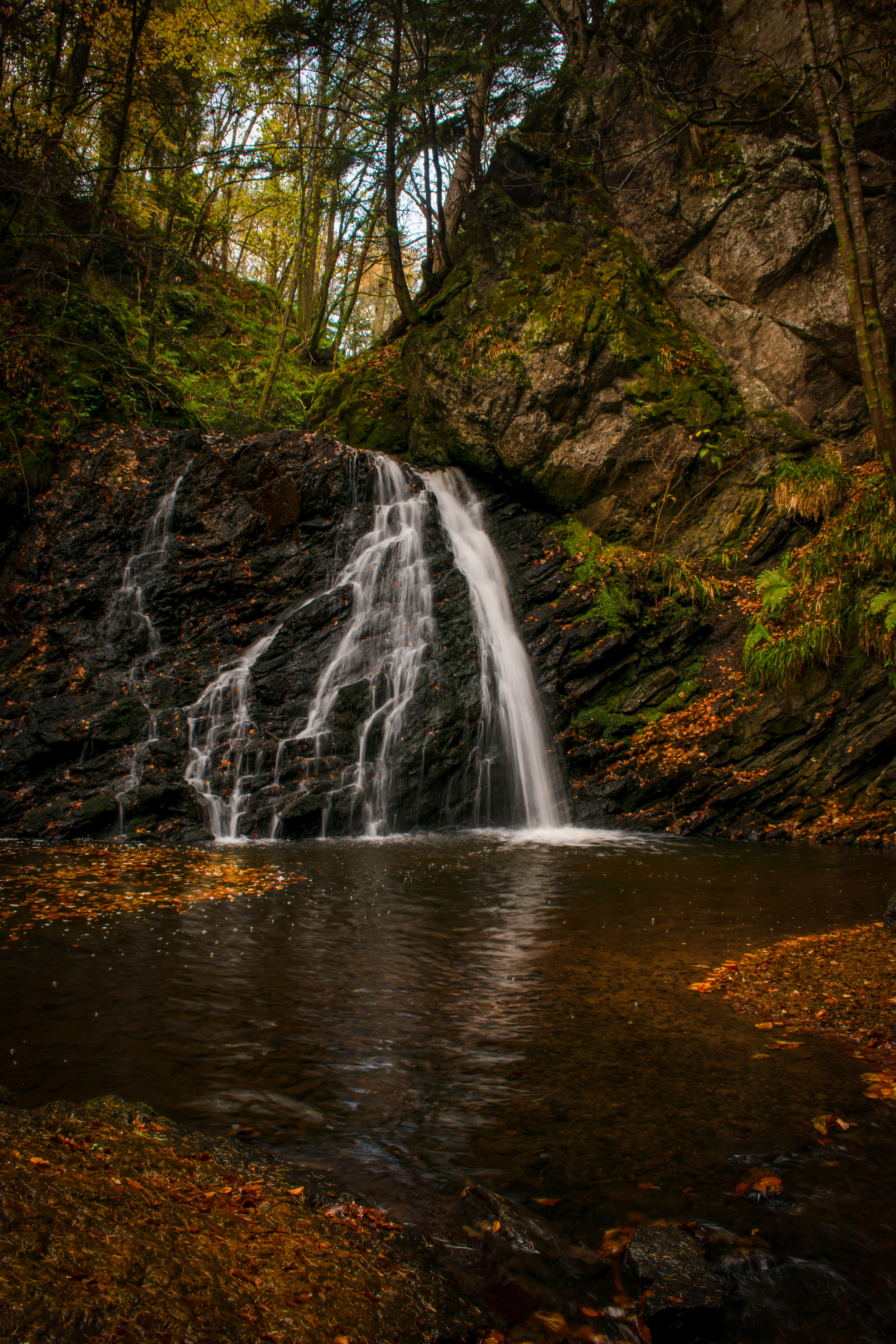 Fairy Glen, Rosemarkie