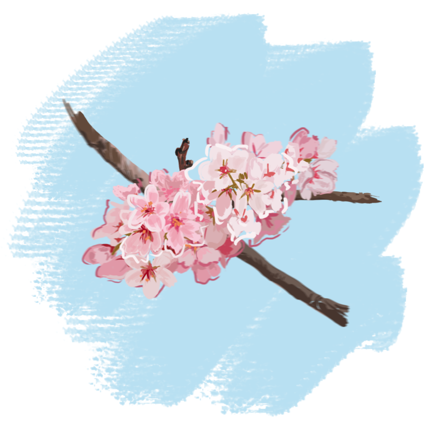 Digital art piece made for my friend's birthday. Photoshop.