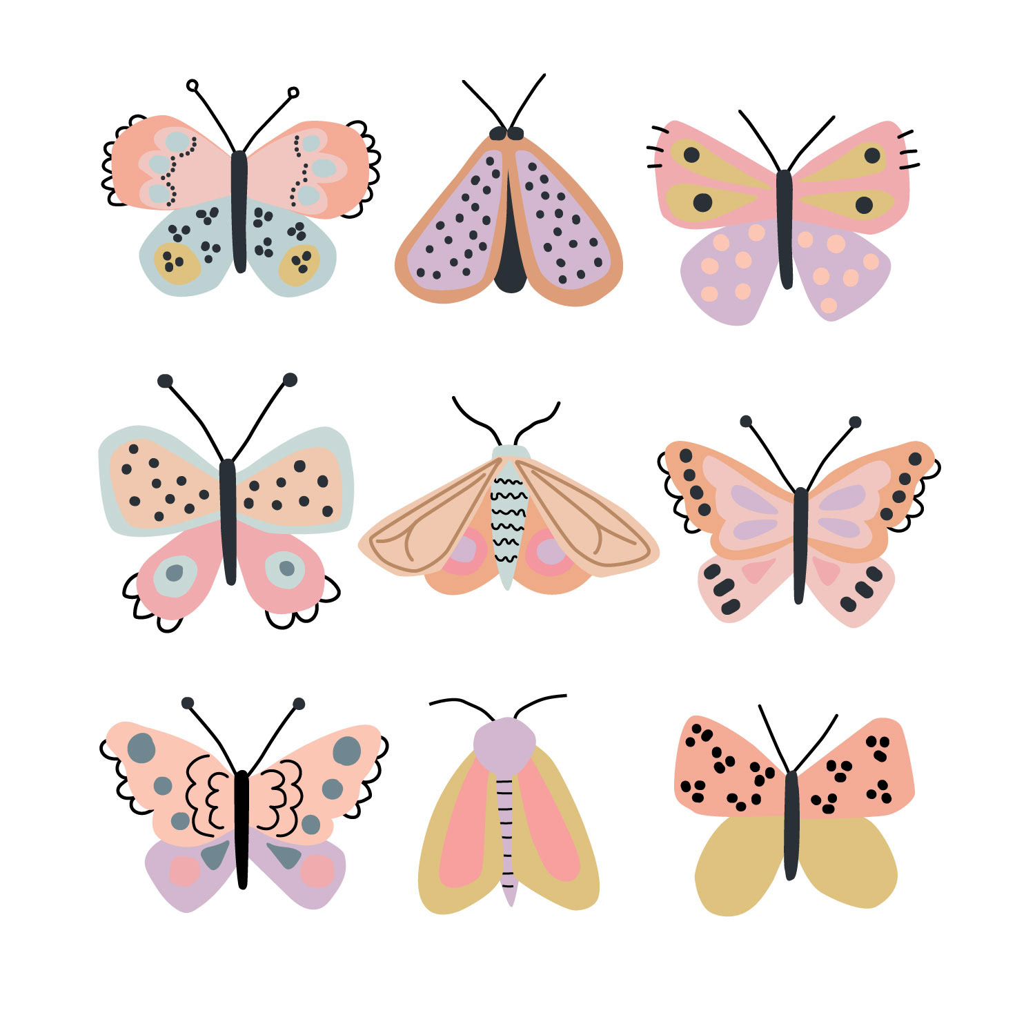 Butterfly Illustration