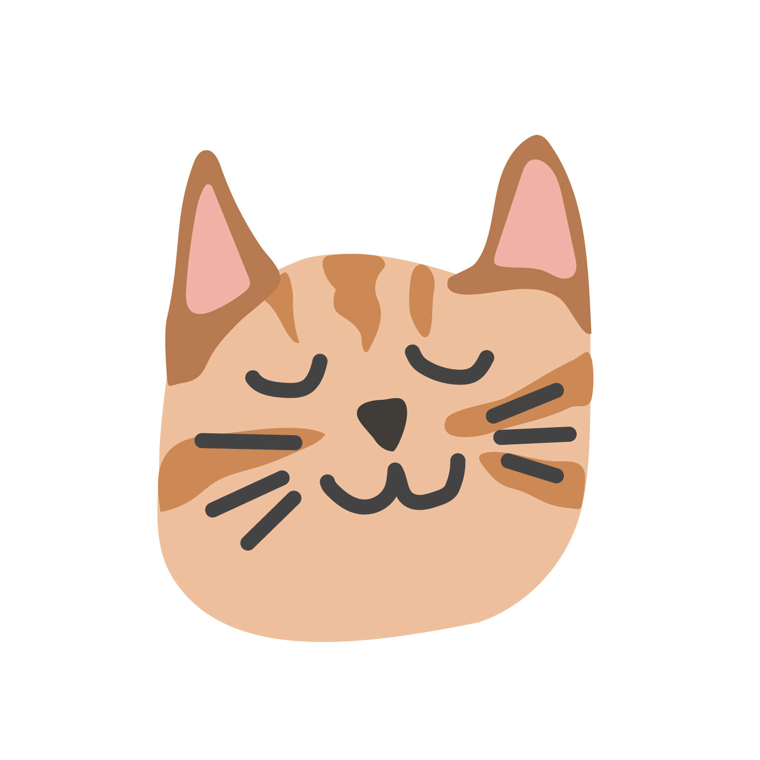 Detailed Cat Face