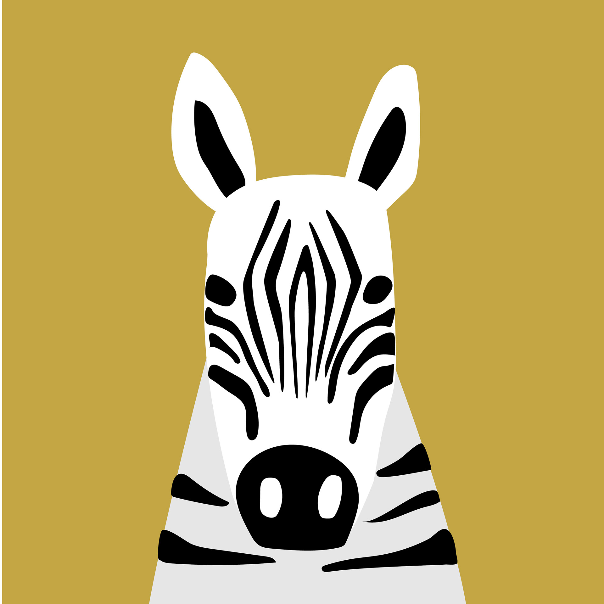 Zebra Face