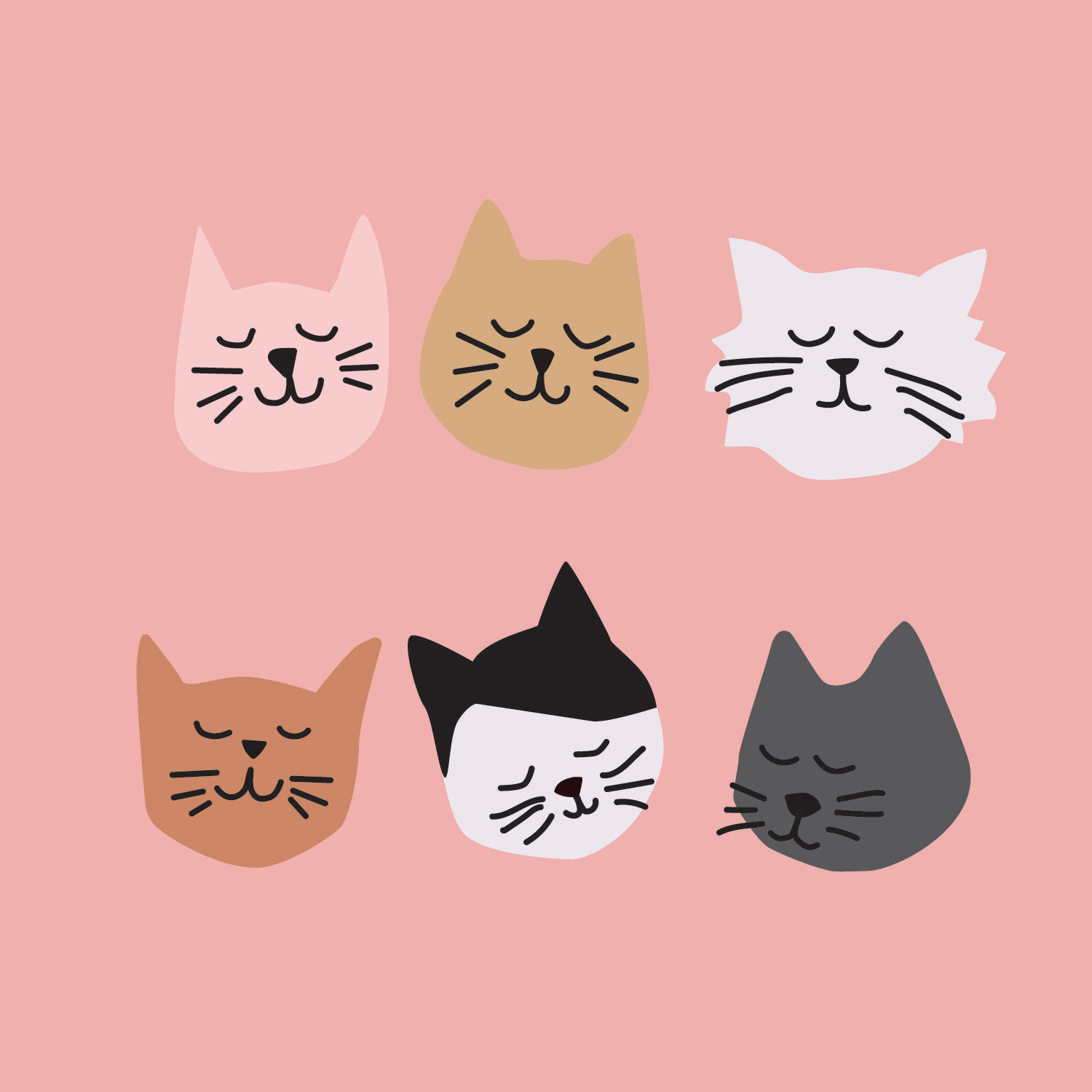 Original Cat Faces