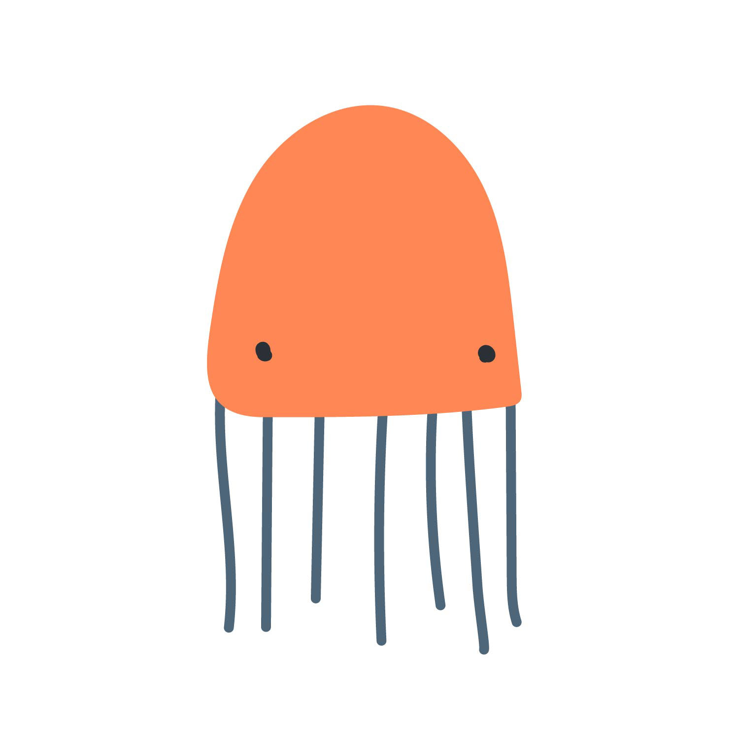 Jellyfish